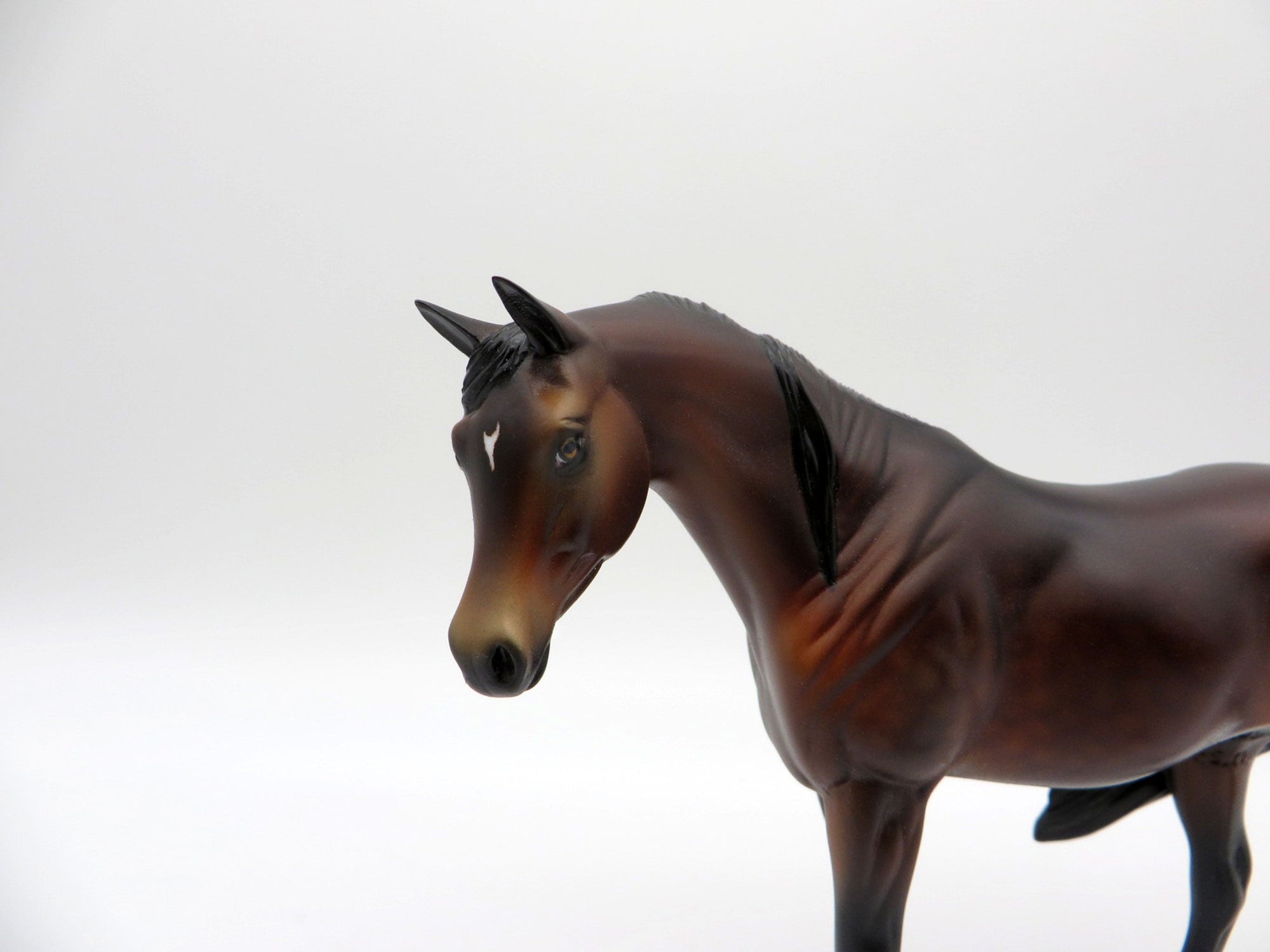 Thunder-OOAK Bay Pebbles Arabian  SHCF 2021