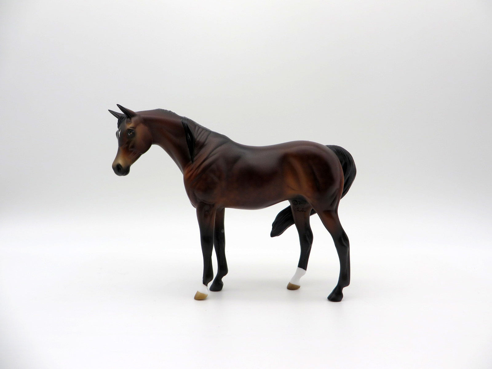 Thunder-OOAK Bay Pebbles Arabian  SHCF 2021