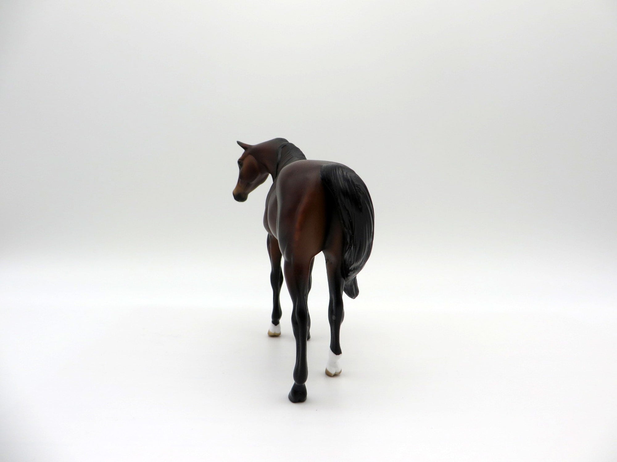 Thunder-OOAK Bay Pebbles Arabian  SHCF 2021