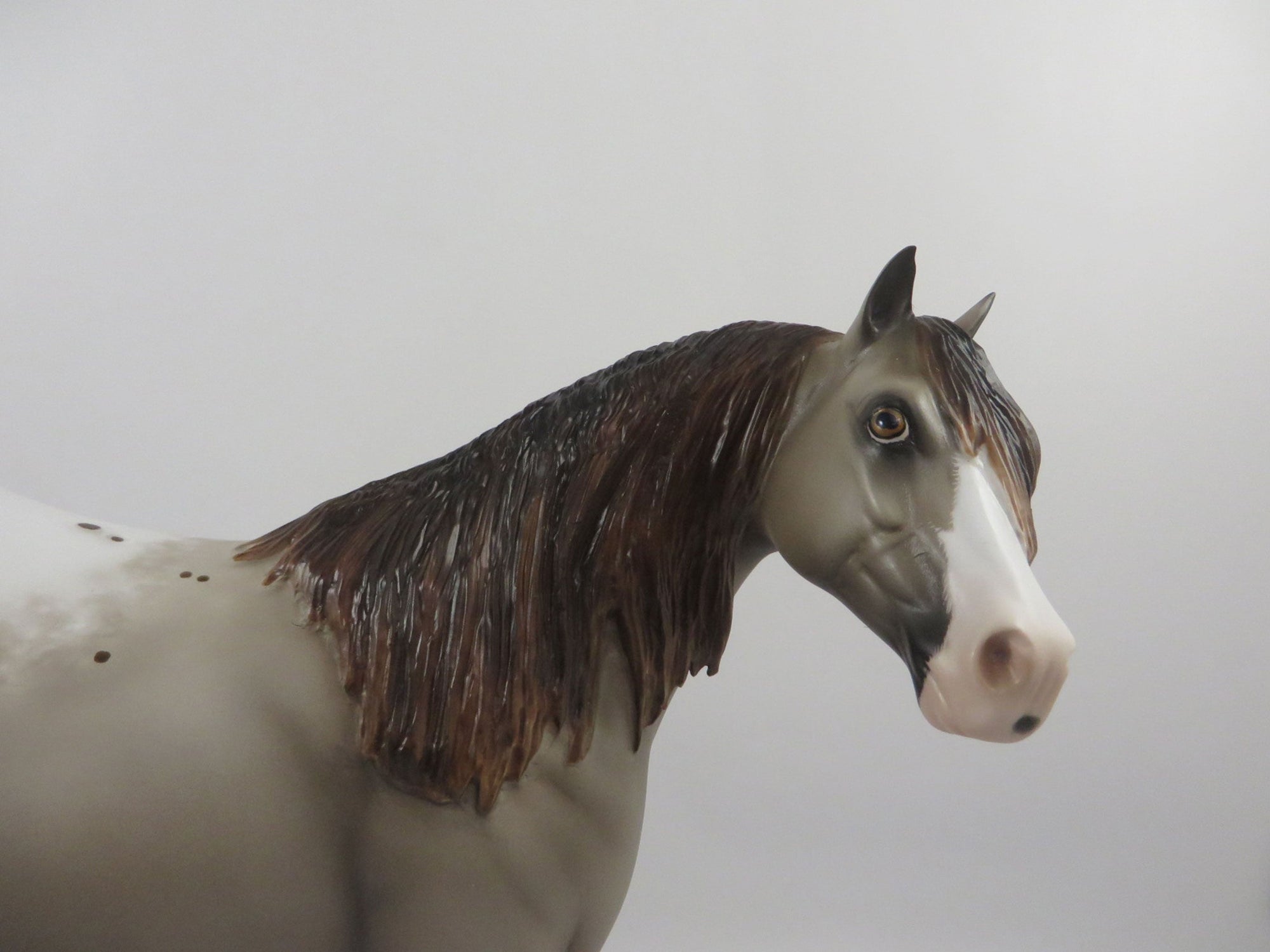 Thunderhead-OOAK Chestnut Appaloosa ISH Painted By Sheryl Leisure  2/25/21