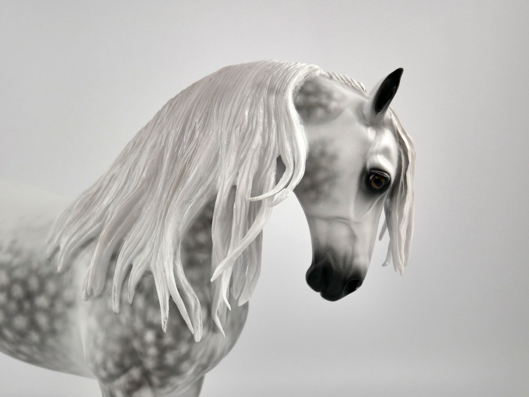 TIERNAN-OOAK DAPPLE GREY ANDY BY SHERYL LEISURE 11/17/20