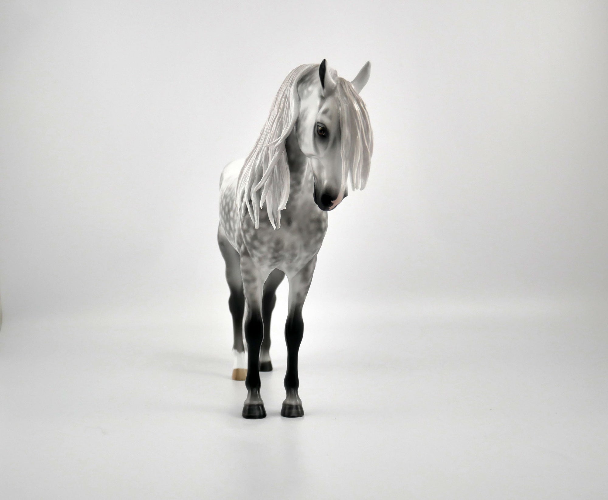 TIERNAN-OOAK DAPPLE GREY ANDY BY SHERYL LEISURE 11/17/20