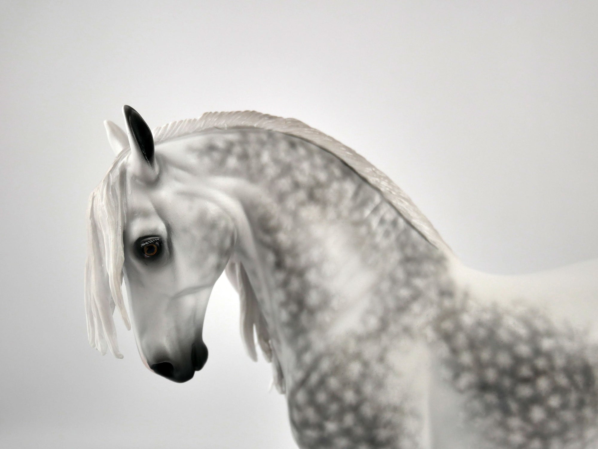 TIERNAN-OOAK DAPPLE GREY ANDY BY SHERYL LEISURE 11/17/20