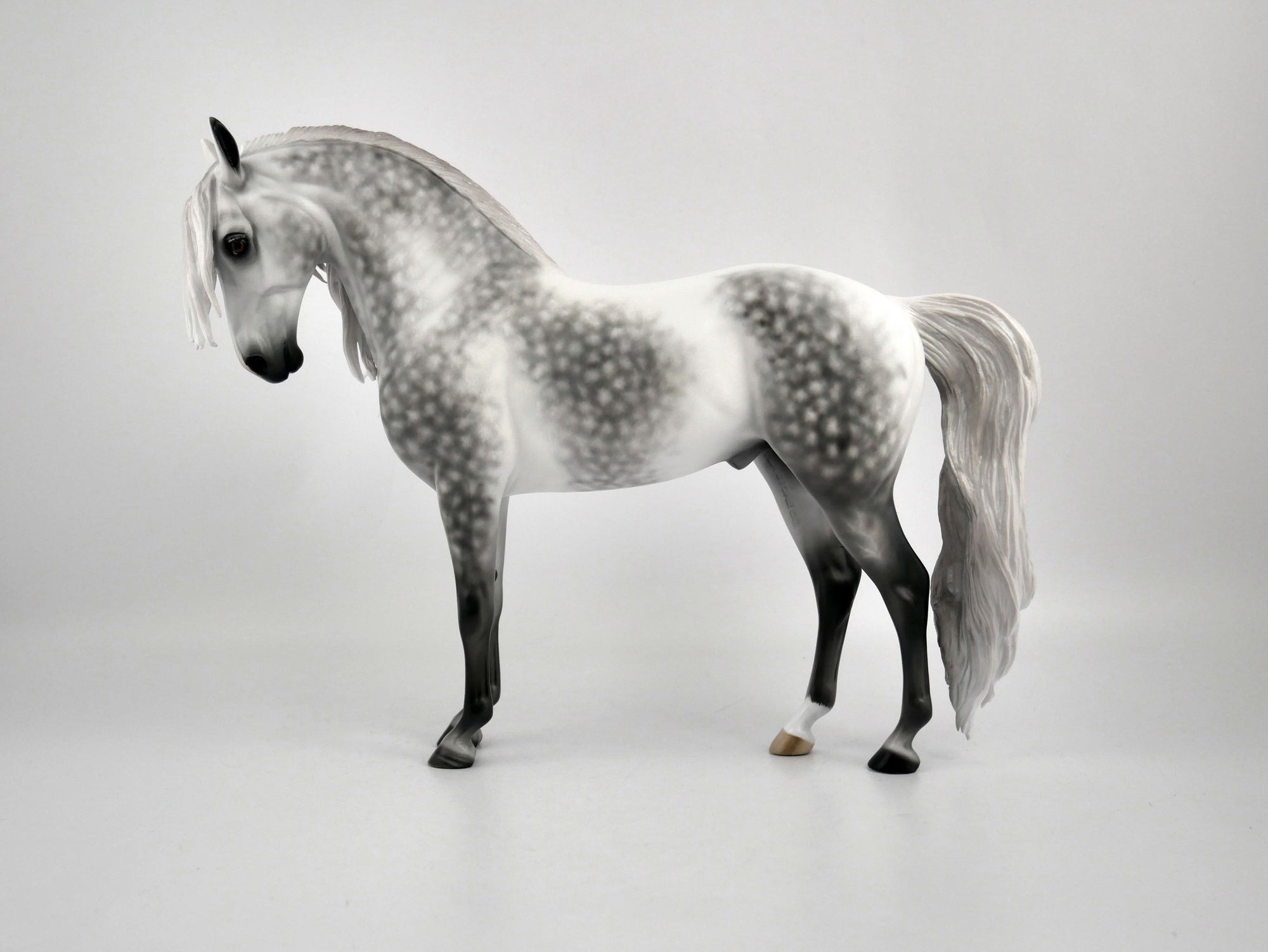 TIERNAN-OOAK DAPPLE GREY ANDY BY SHERYL LEISURE 11/17/20