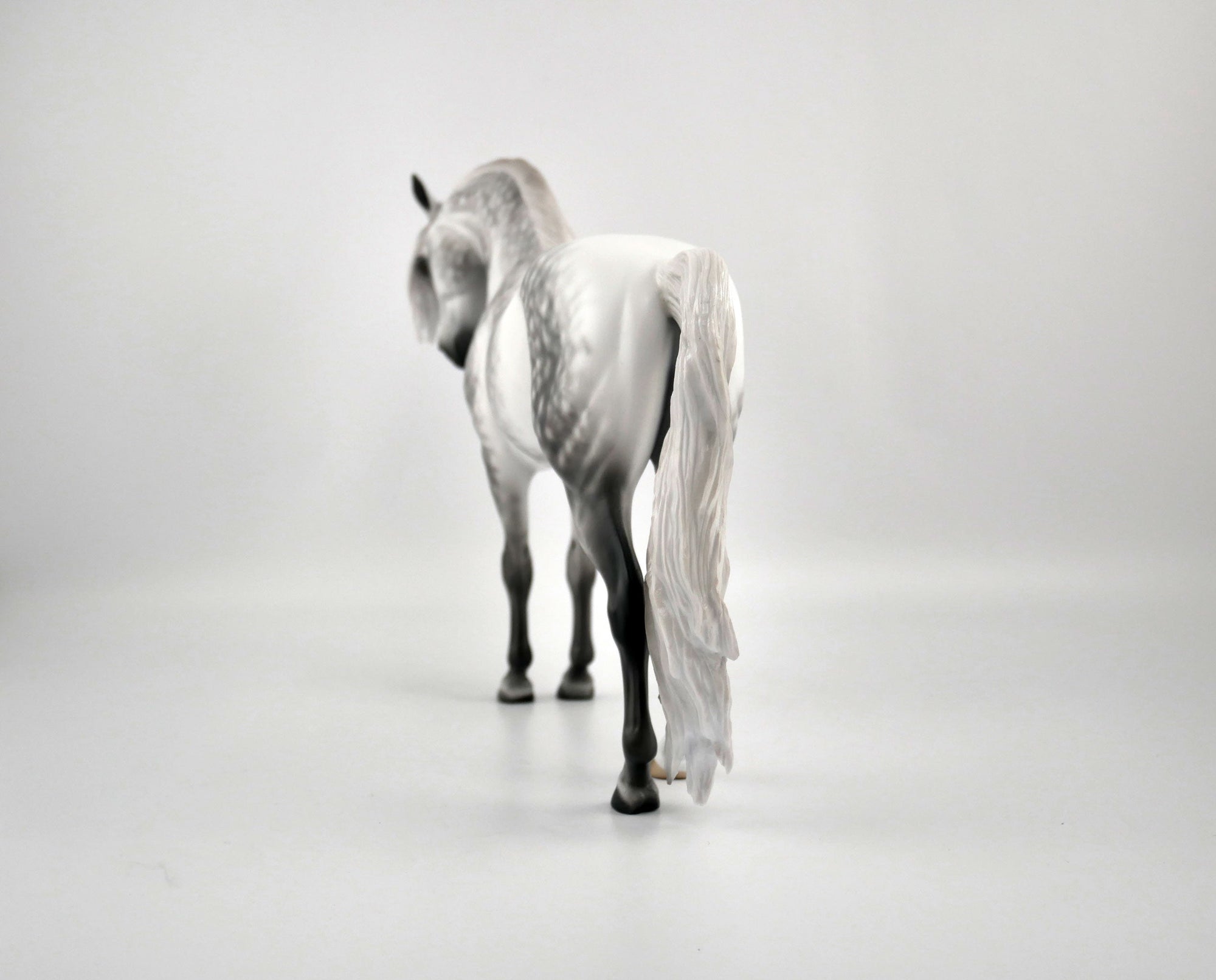 TIERNAN-OOAK DAPPLE GREY ANDY BY SHERYL LEISURE 11/17/20