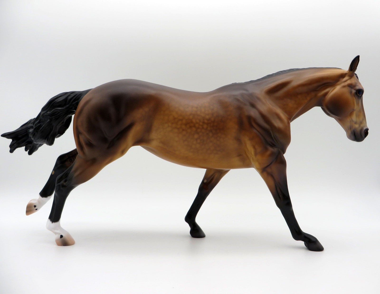 Tigris-OOAK Dapple Bay Running Stock Horse By Caroline Boydston 5/17/21