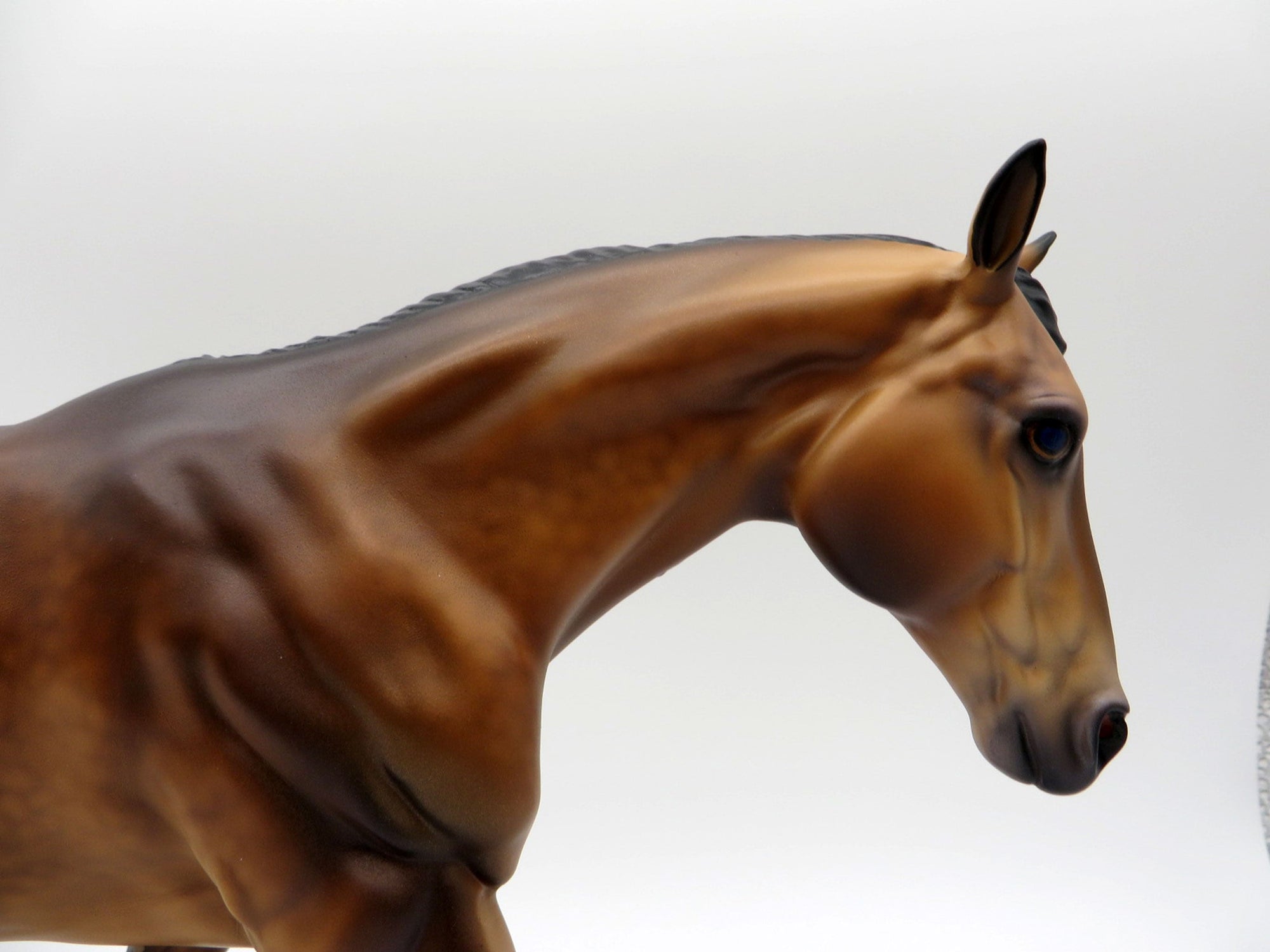 Tigris-OOAK Dapple Bay Running Stock Horse By Caroline Boydston 5/17/21