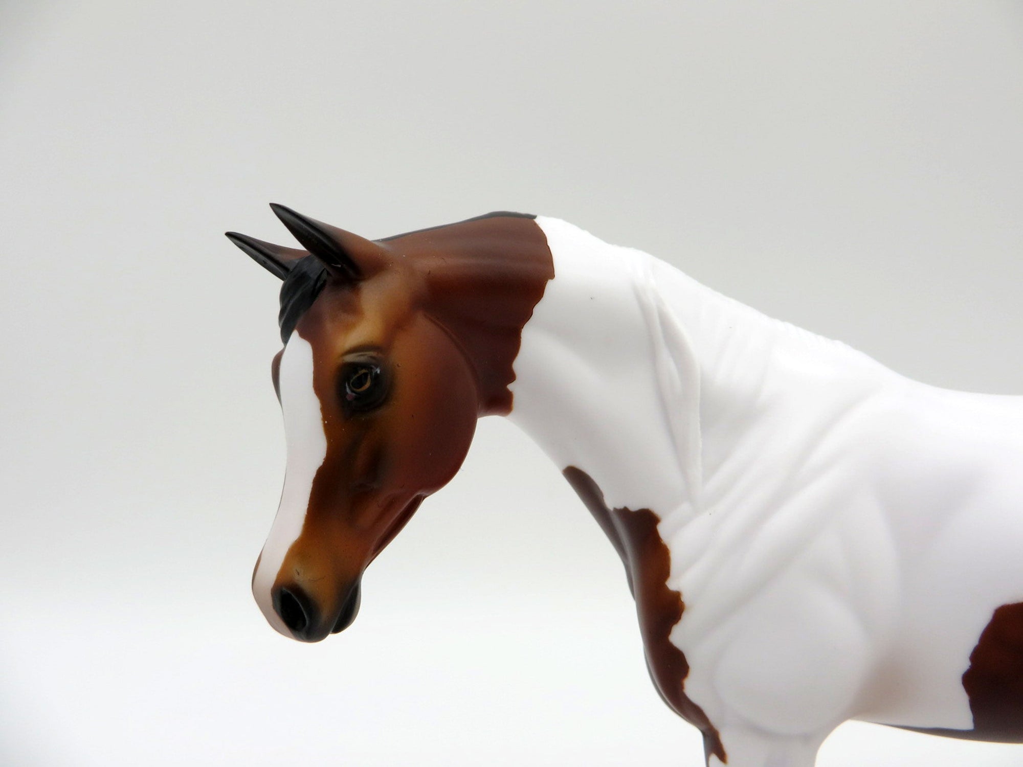 Tilly-OOAK Bay Arabian Mare Pebbles Painted by Audrey Dixon EQ 21