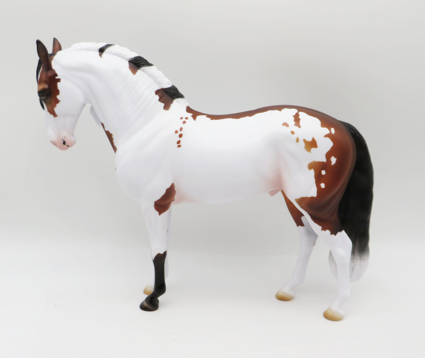 Tinsel - LE 30 - Bay Frame Overo Andalusian By Ashley Palmer - Christmas Tails 2022 - CT22