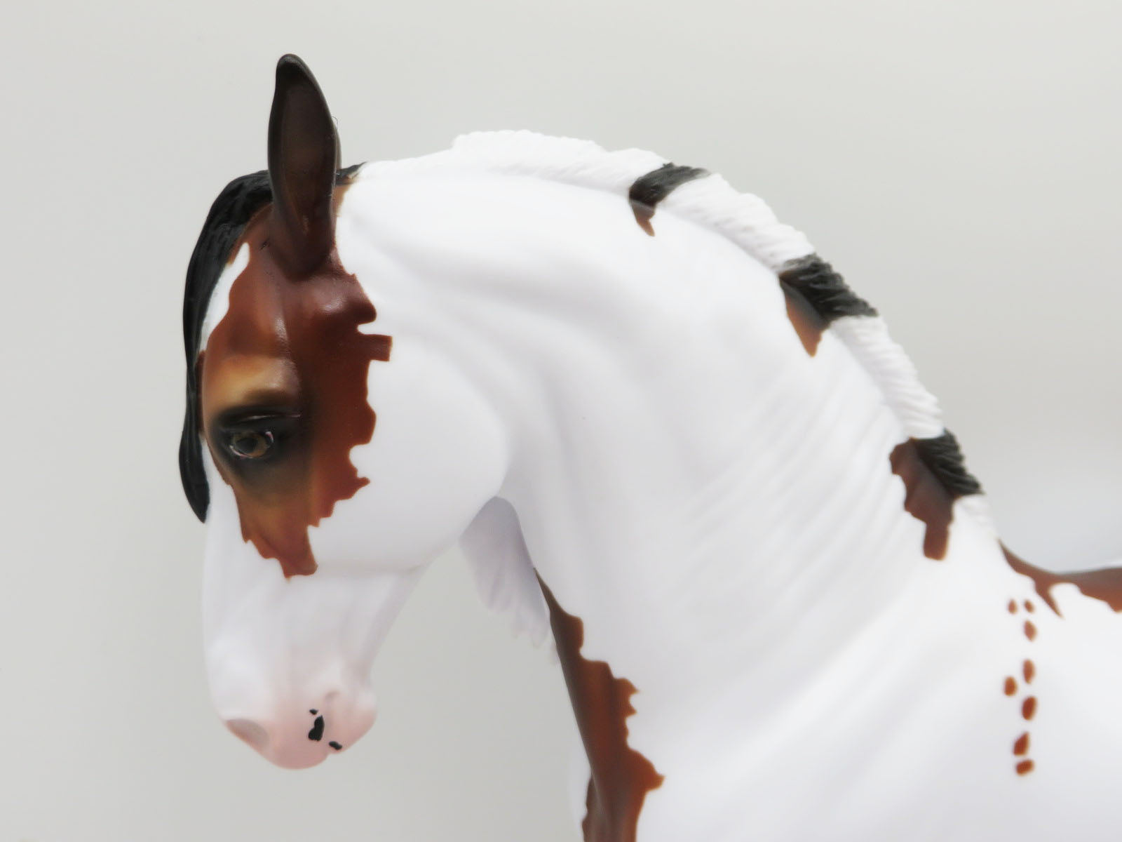 Tinsel - LE 30 - Bay Frame Overo Andalusian By Ashley Palmer - Christmas Tails 2022 - CT22