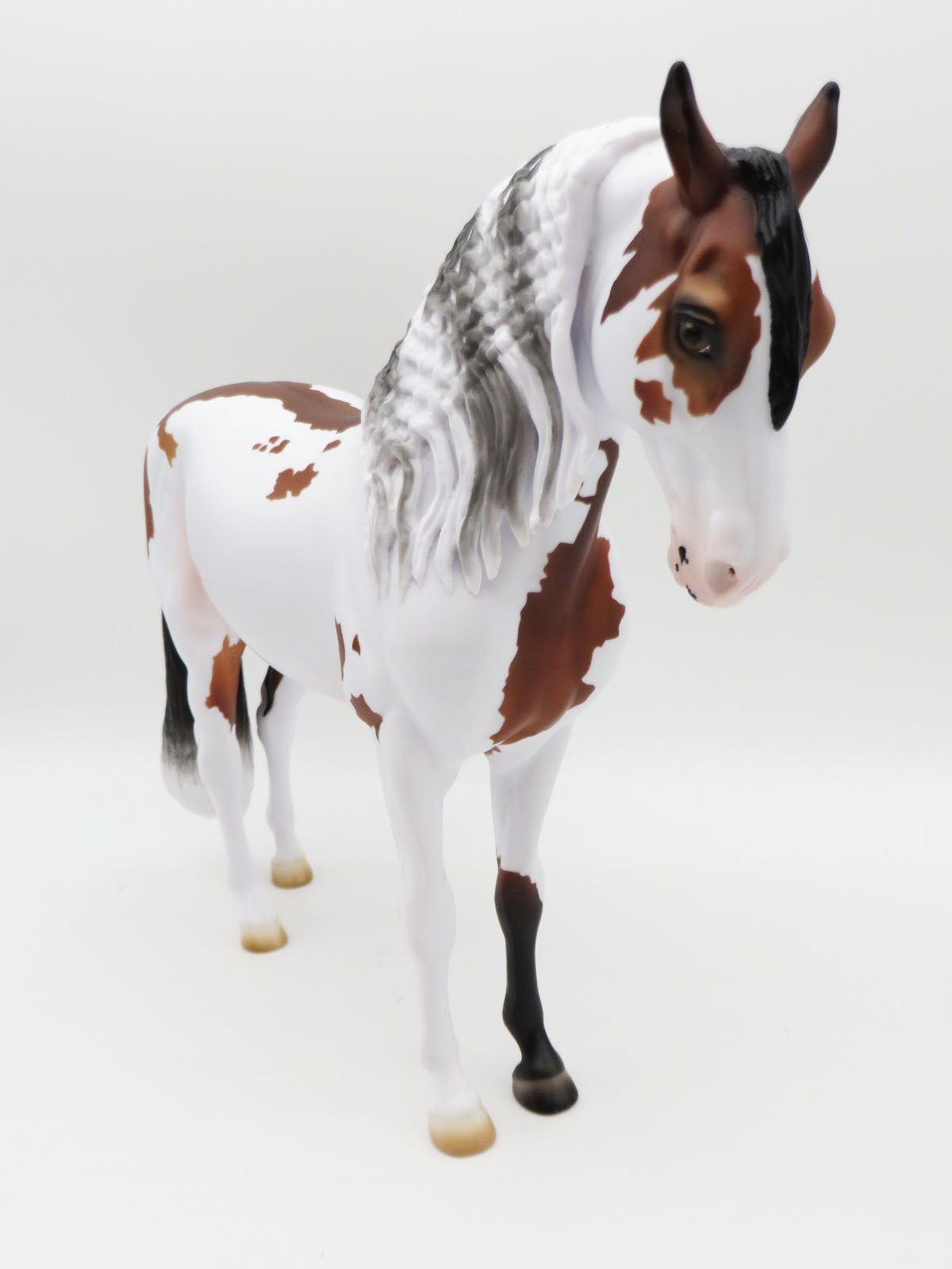 Tinsel - LE 30 - Bay Frame Overo Andalusian By Ashley Palmer - Christmas Tails 2022 - CT22