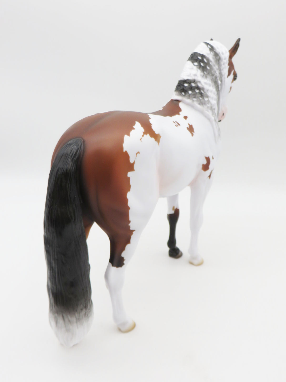 Tinsel - LE 30 - Bay Frame Overo Andalusian By Ashley Palmer - Christmas Tails 2022 - CT22