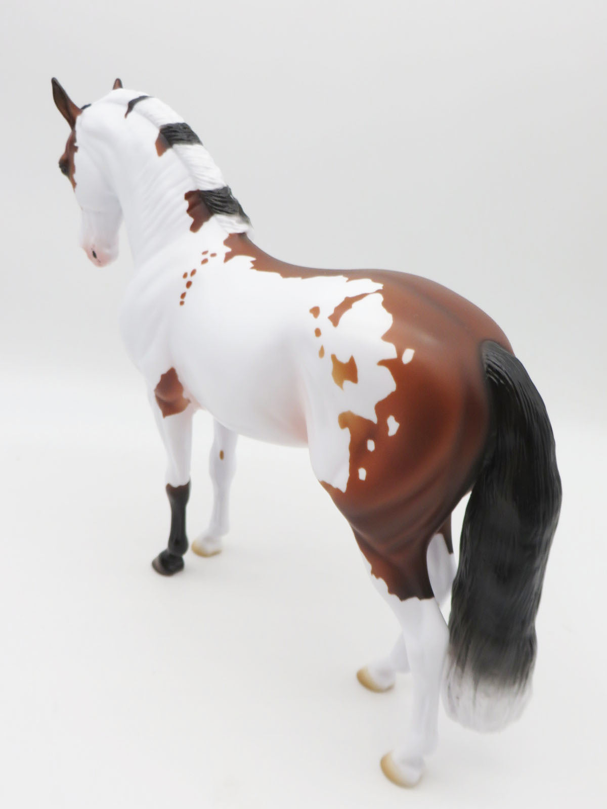 Tinsel - LE 30 - Bay Frame Overo Andalusian By Ashley Palmer - Christmas Tails 2022 - CT22