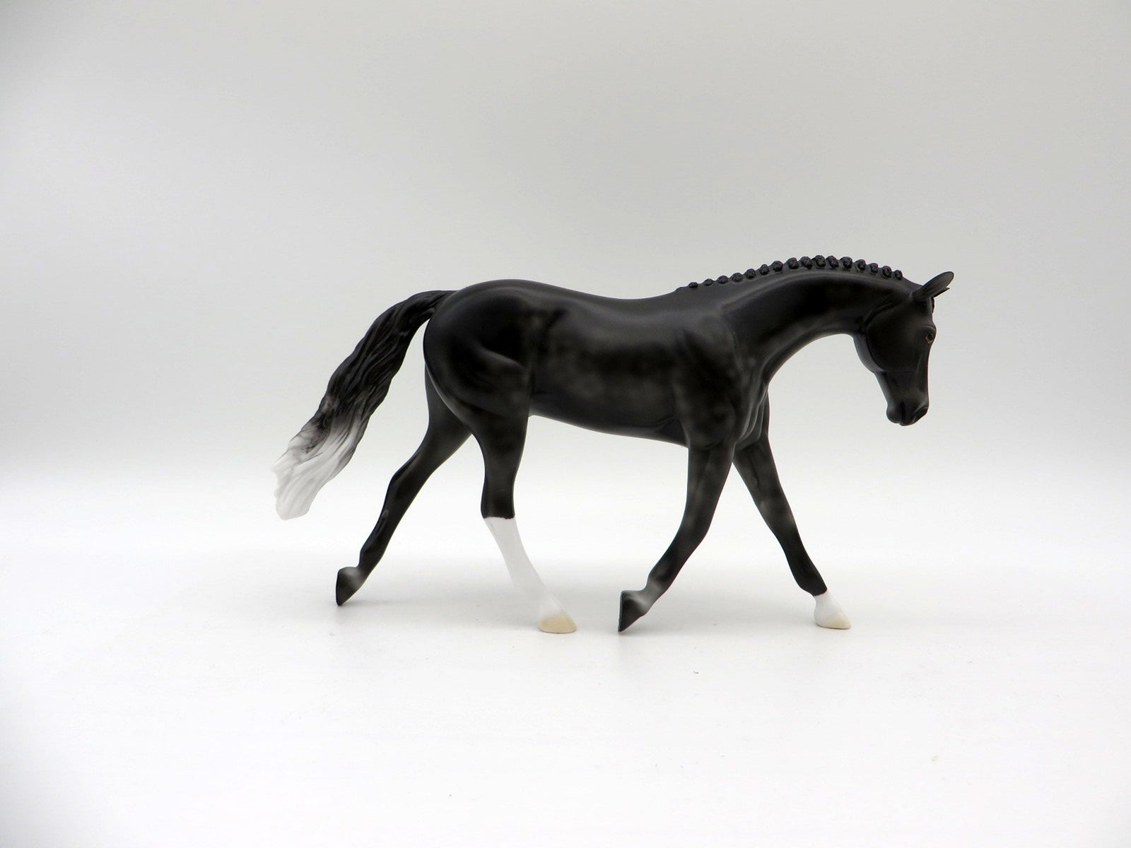 Tip Toe-LE-3 Dapple Black Warmblood Pebbles 5/14/21