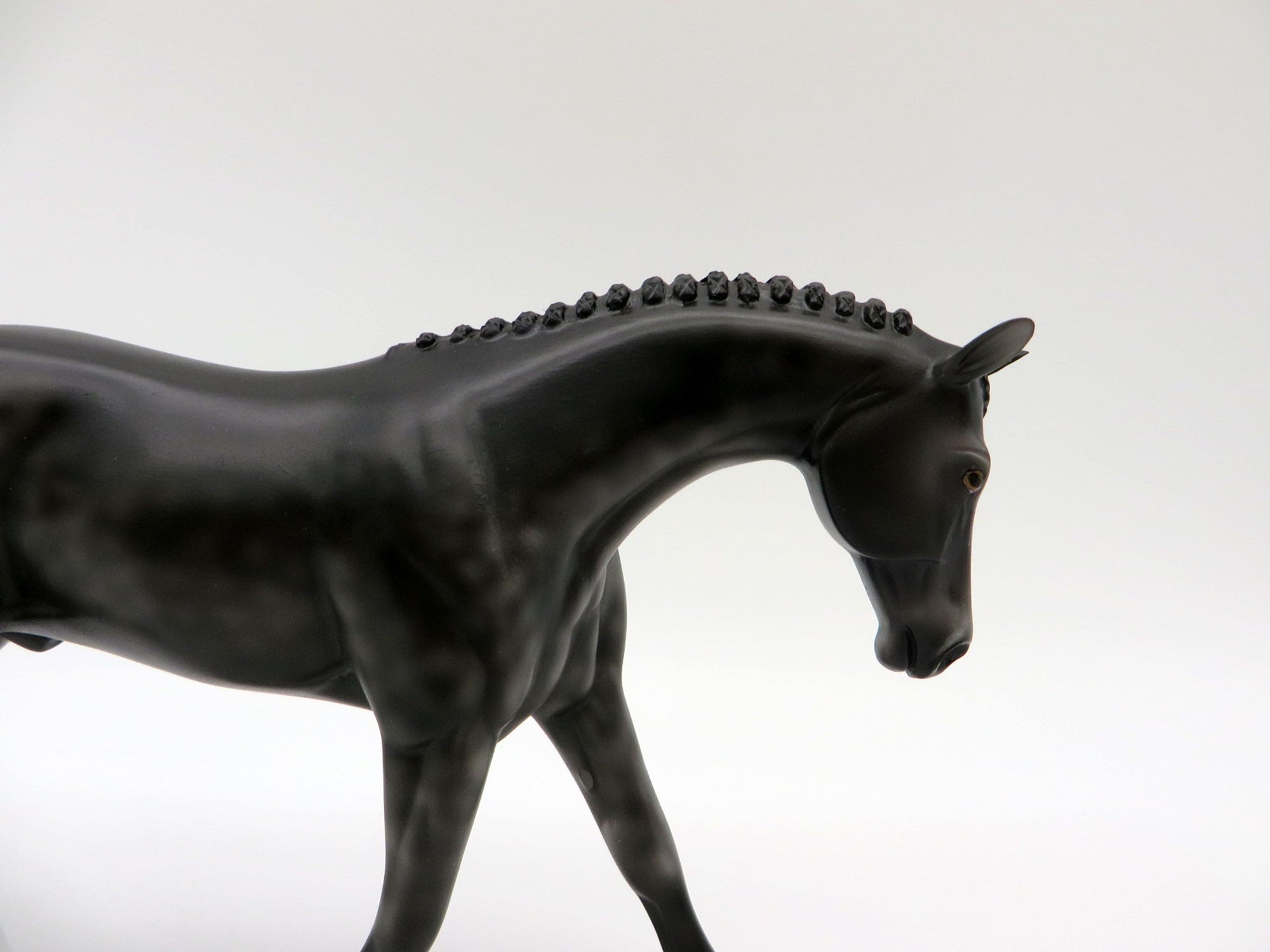 Tip Toe-LE-3 Dapple Black Warmblood Pebbles 5/14/21