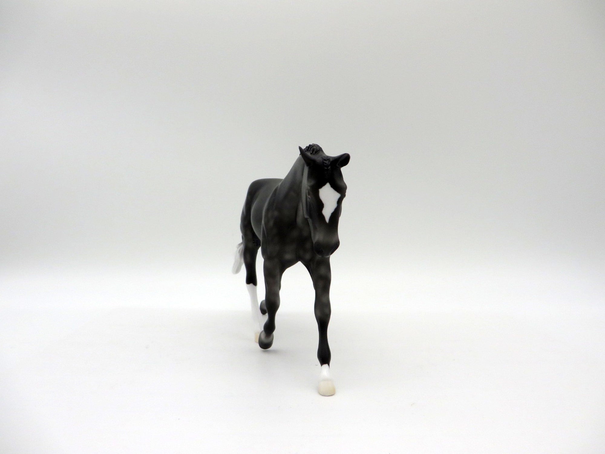 Tip Toe-LE-3 Dapple Black Warmblood Pebbles 5/14/21