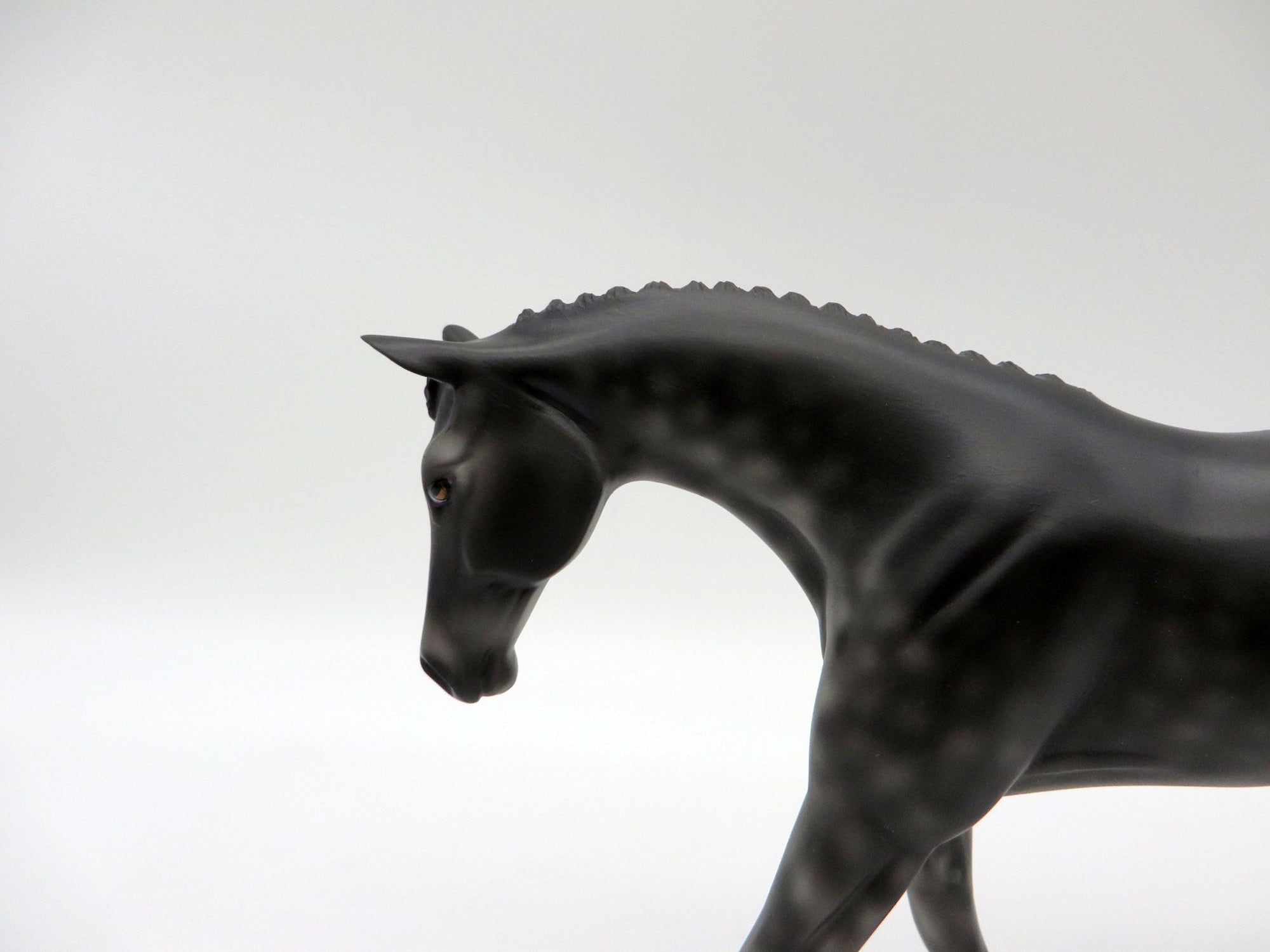 Tip Toe-LE-3 Dapple Black Warmblood Pebbles 5/14/21