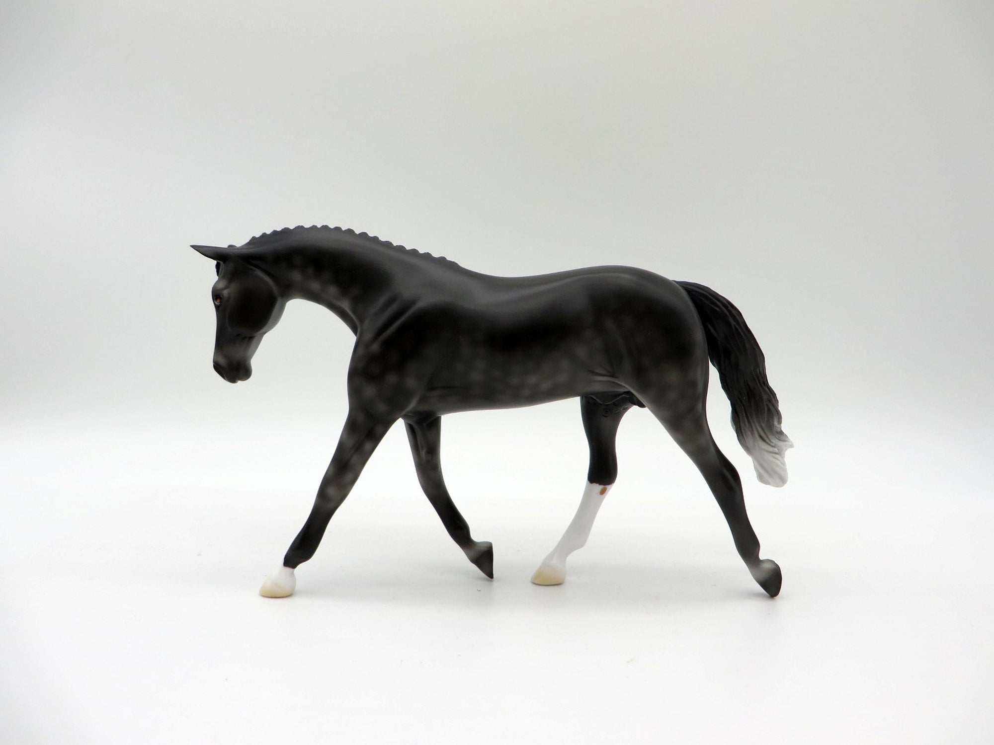 Tip Toe-LE-3 Dapple Black Warmblood Pebbles 5/14/21