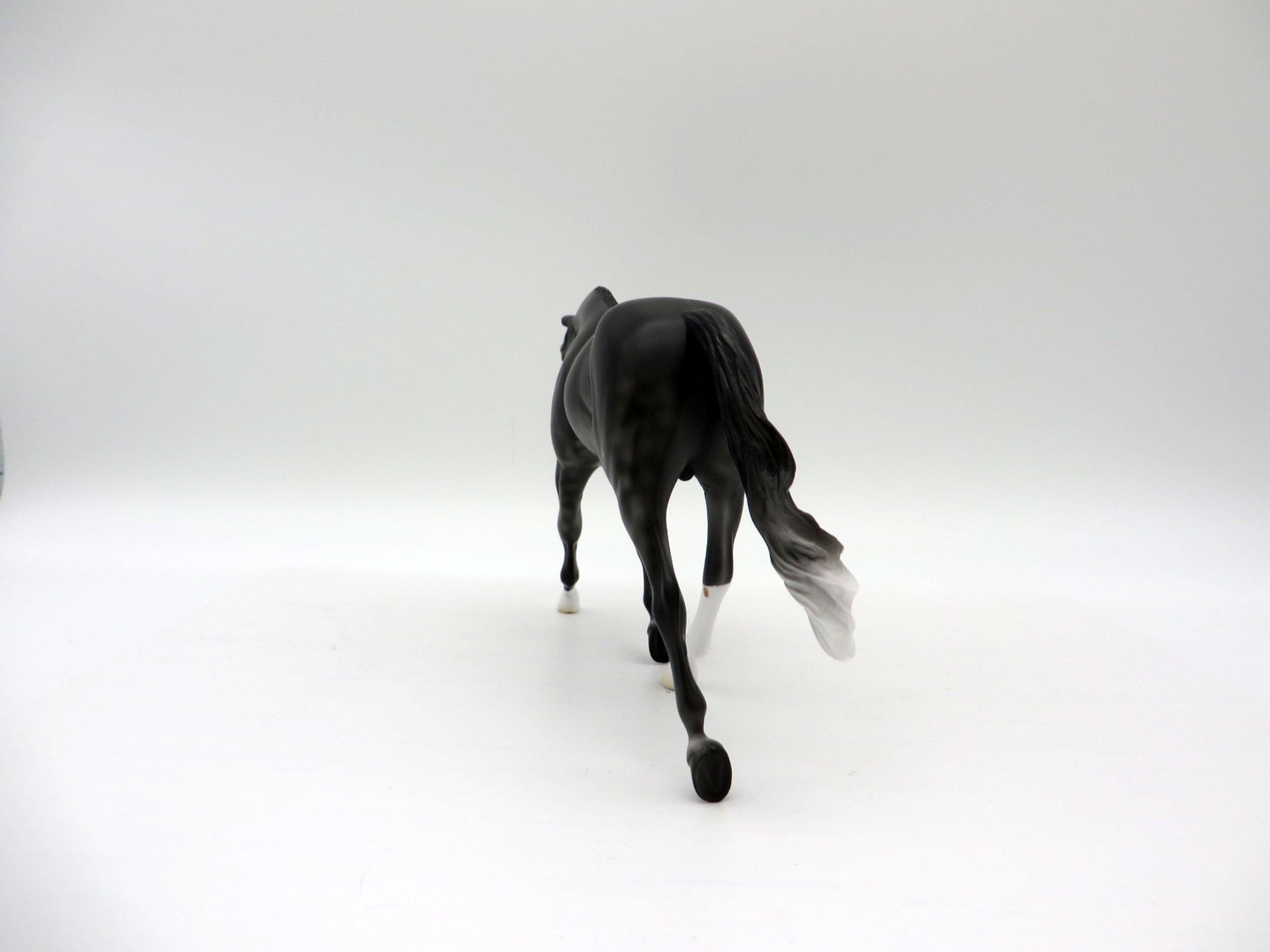 Tip Toe-LE-3 Dapple Black Warmblood Pebbles 5/14/21