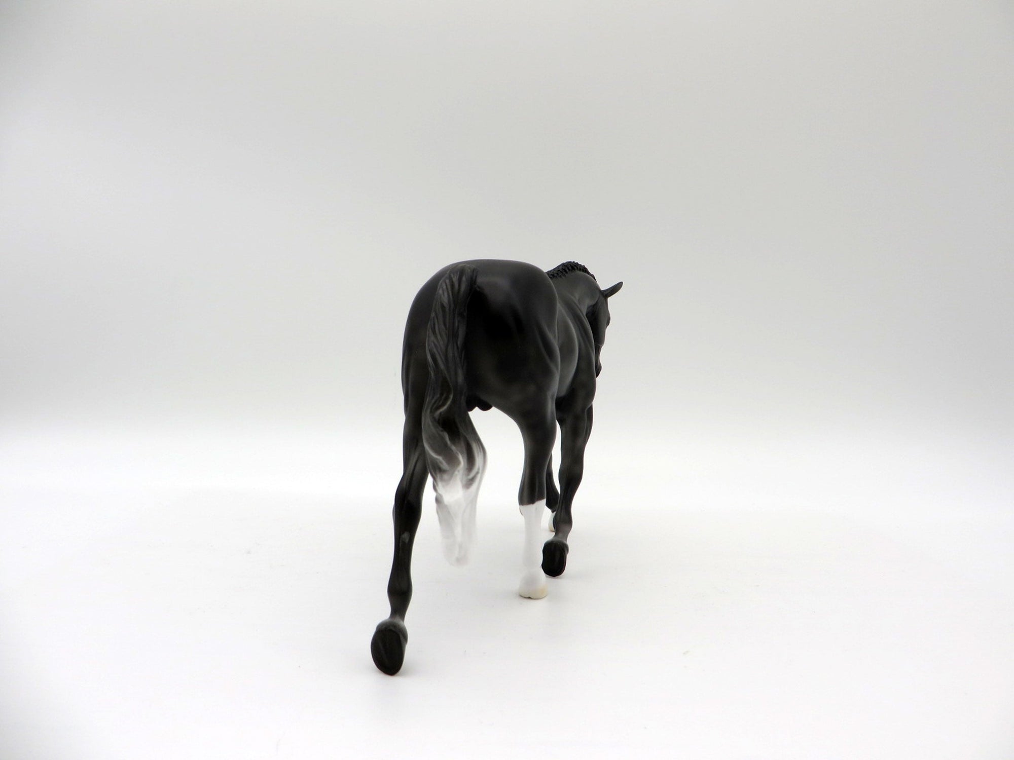 Tip Toe-LE-3 Dapple Black Warmblood Pebbles 5/14/21