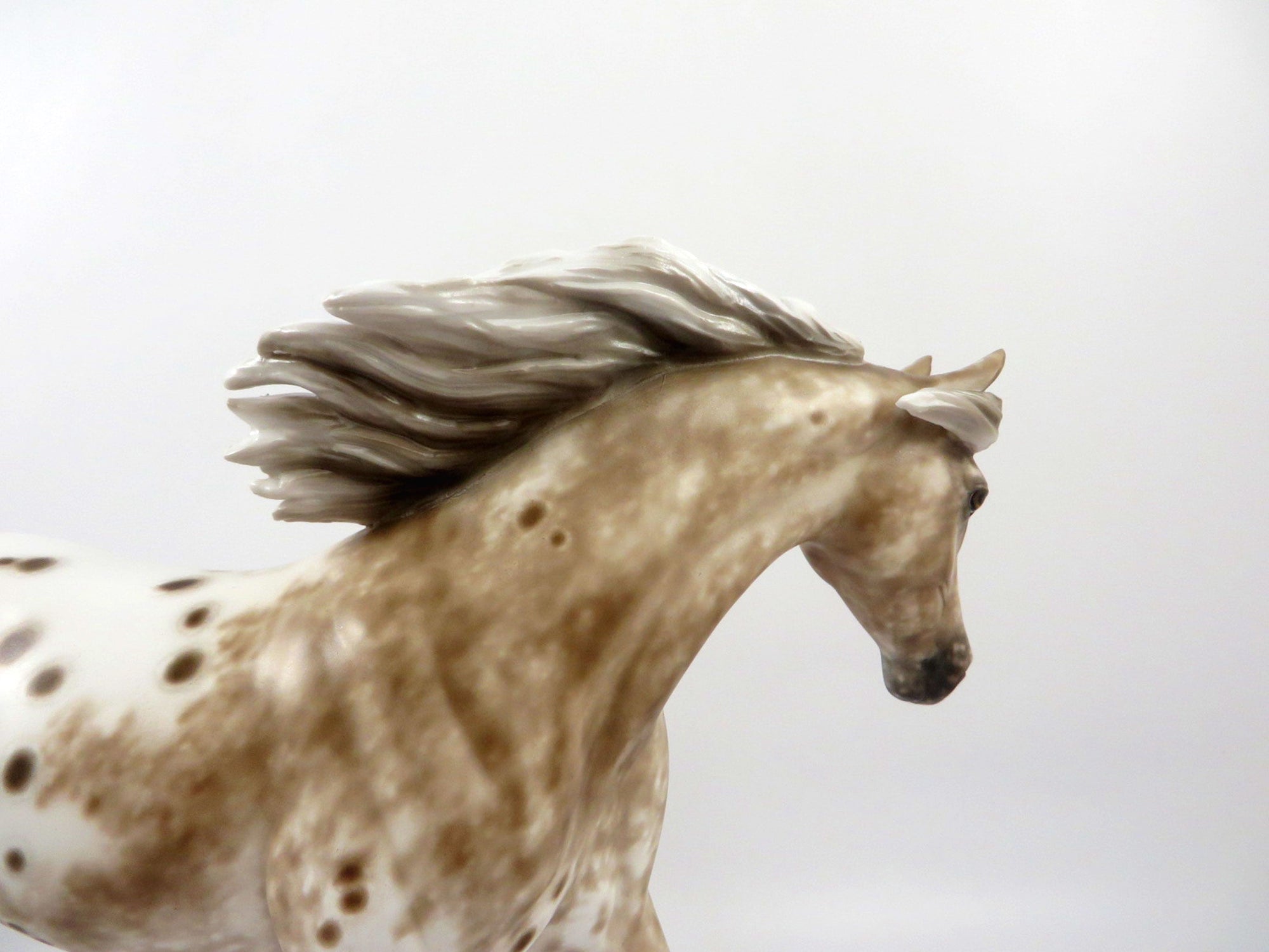 Titan-OOAK Bay Appaloosa Pony Painted By Sheryl Leisure 2/21