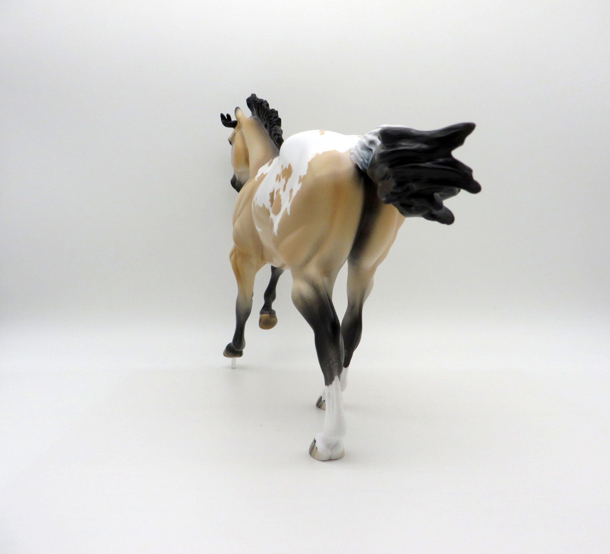 Titan-LE-6 Buckskin Appaloosa Foundation Quarter Horse EQ 2021