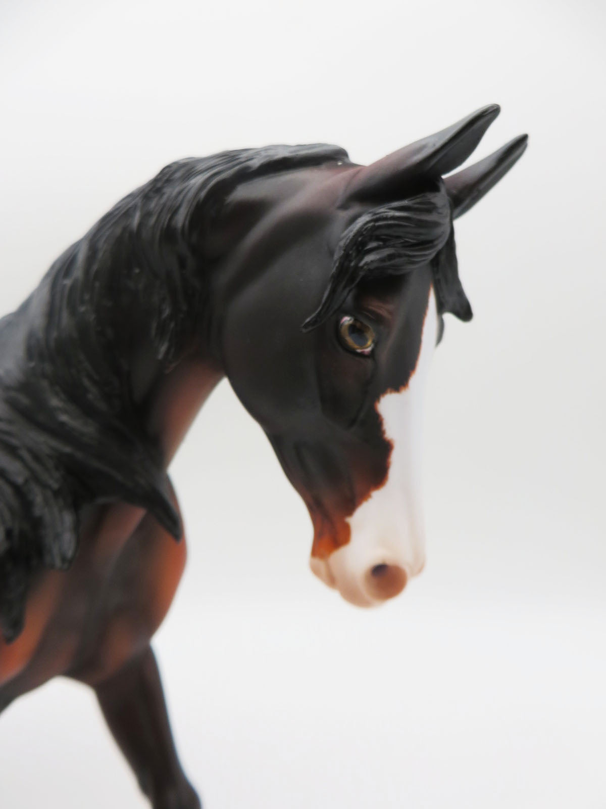 Tobias - OOAK - Dappled Dark Bay Thoroughbred by Angela Marleau- Best Offers 3/6/23