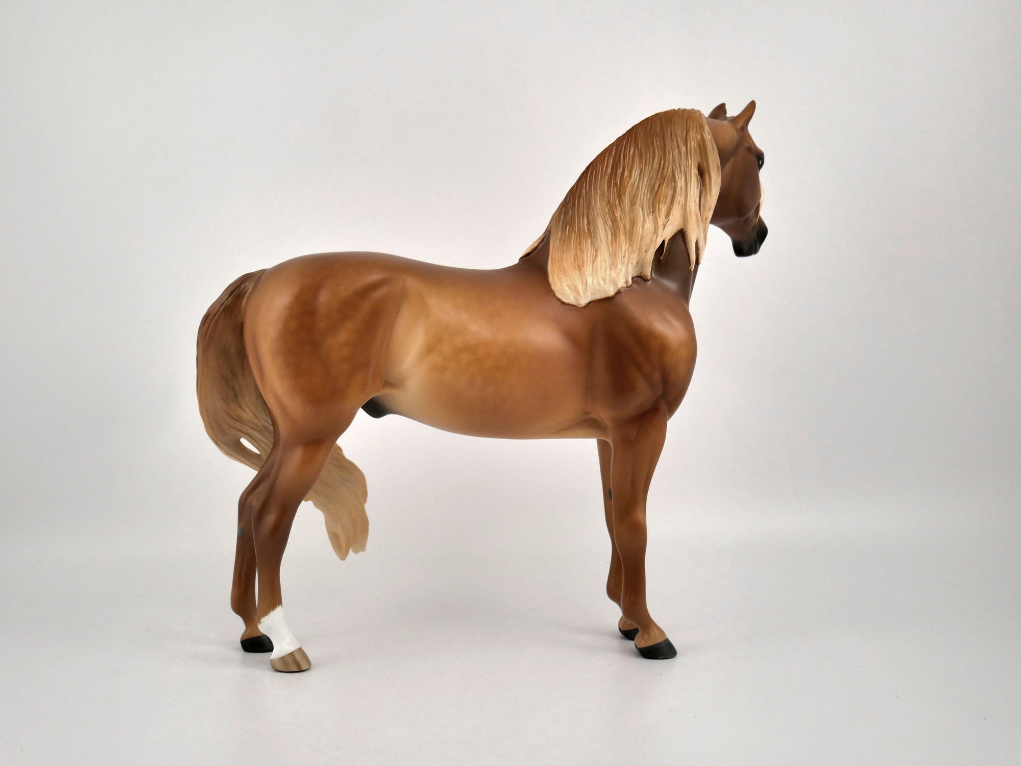 TOBIN-OOAK CHESTNUT MORGAN BY SHERYL LIESURE 11/17/20