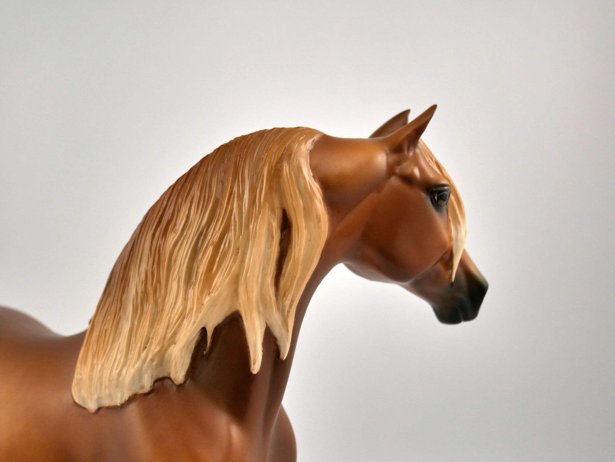 TOBIN-OOAK CHESTNUT MORGAN BY SHERYL LIESURE 11/17/20