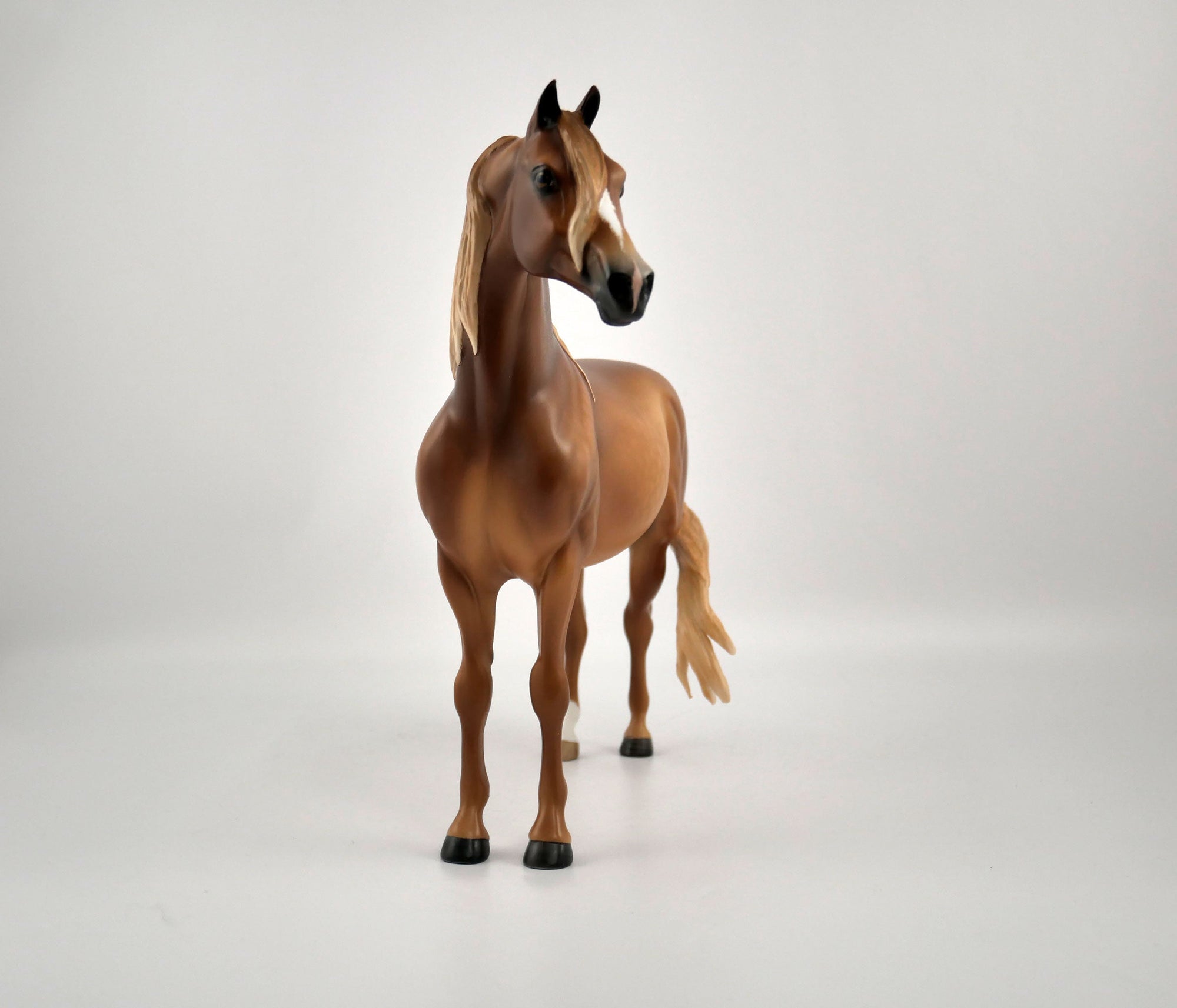 TOBIN-OOAK CHESTNUT MORGAN BY SHERYL LIESURE 11/17/20