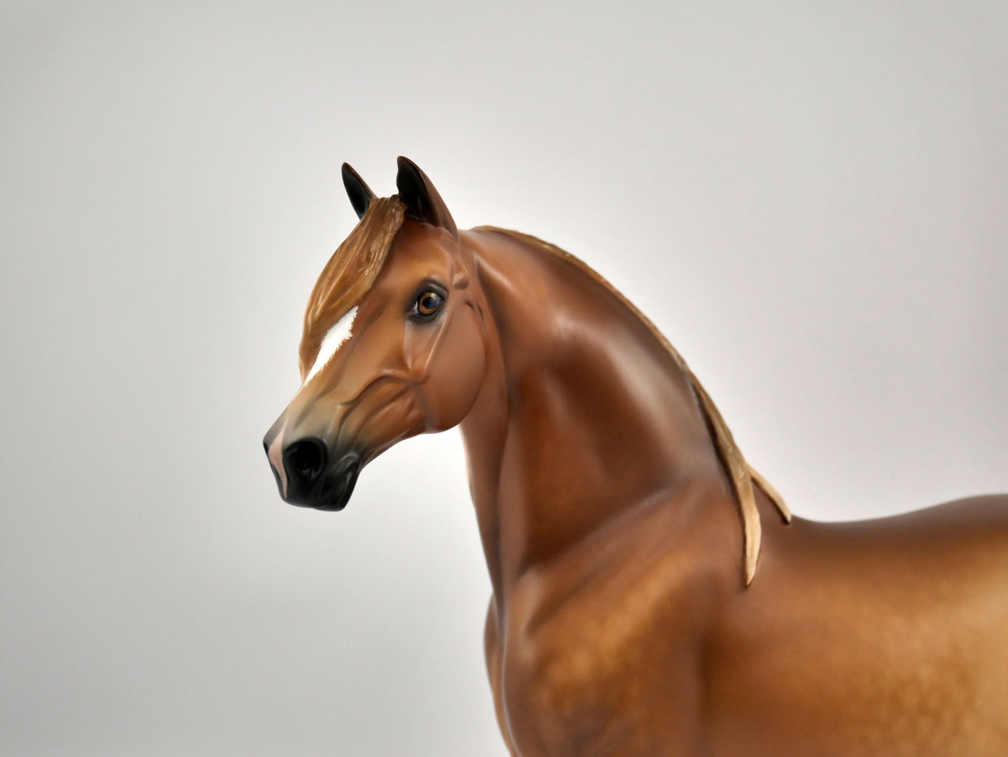 TOBIN-OOAK CHESTNUT MORGAN BY SHERYL LIESURE 11/17/20