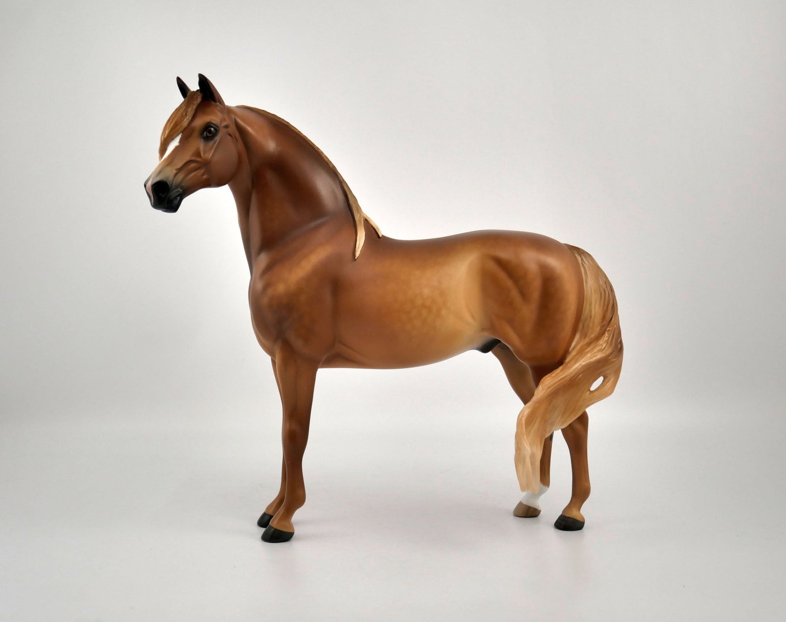 TOBIN-OOAK CHESTNUT MORGAN BY SHERYL LIESURE 11/17/20