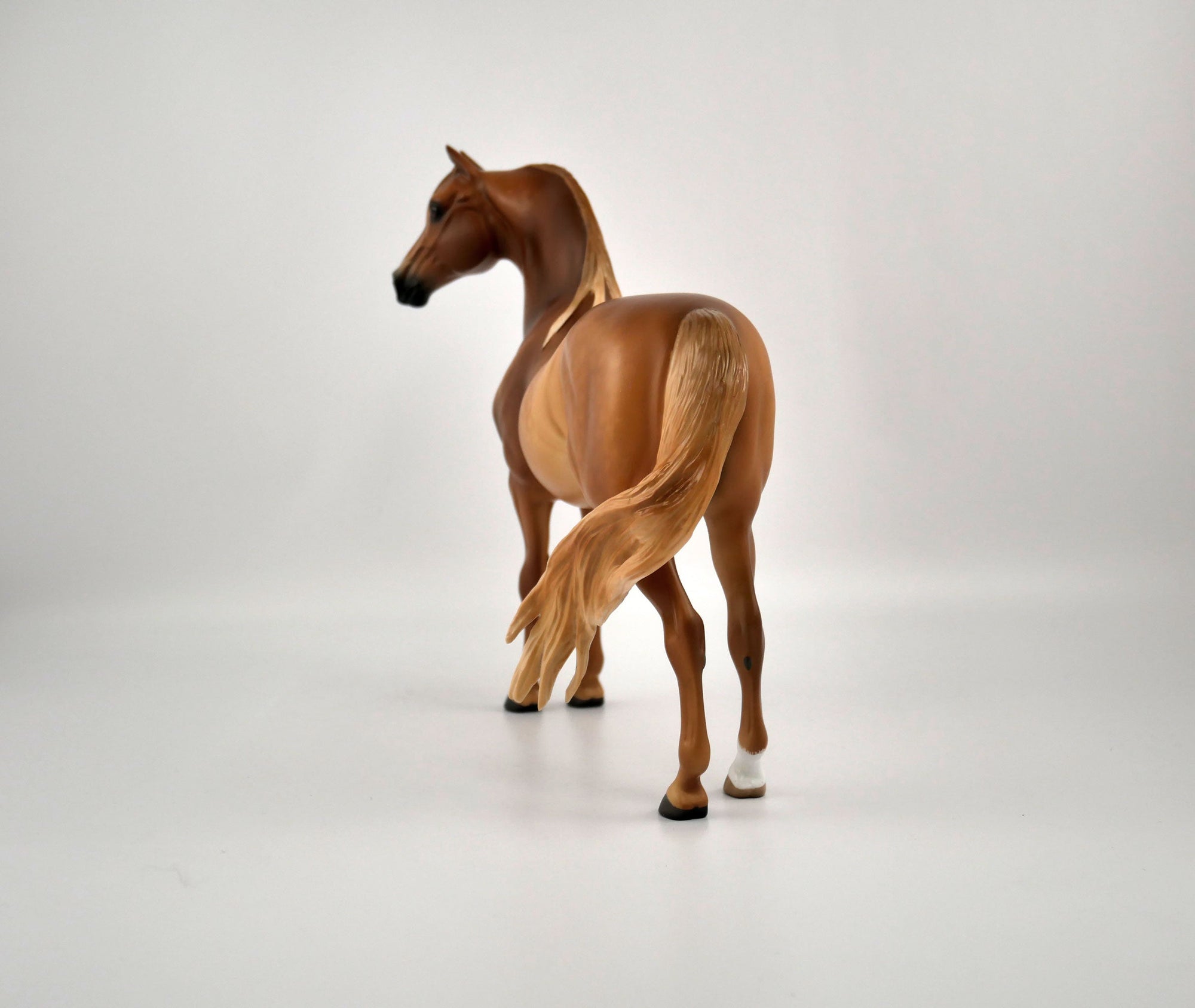 TOBIN-OOAK CHESTNUT MORGAN BY SHERYL LIESURE 11/17/20