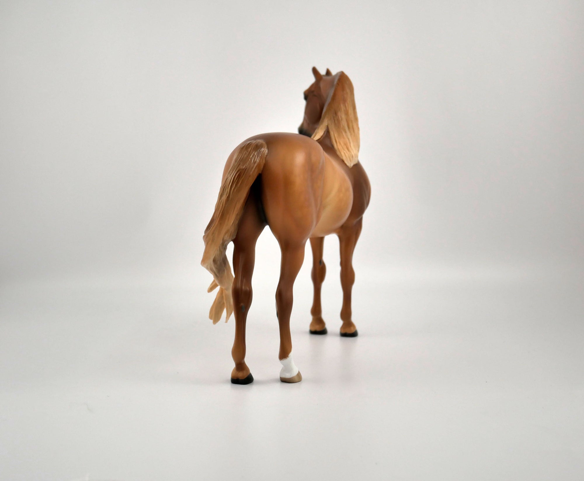 TOBIN-OOAK CHESTNUT MORGAN BY SHERYL LIESURE 11/17/20