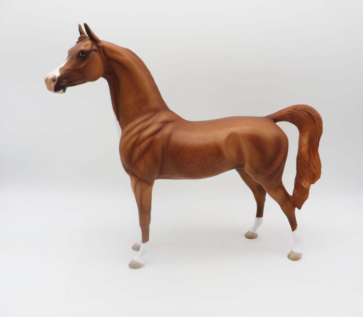 Toller - Chestnut Arabian By Jess Hamill - P&C 23