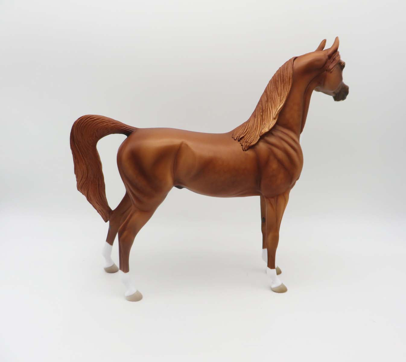 Toller - Chestnut Arabian By Jess Hamill - P&amp;C 23
