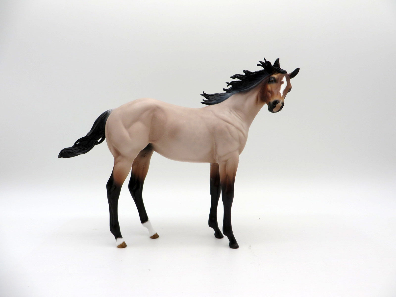 Tolstoy-OOAK Roan Weanling  Painted By Audrey Dixon EQ 21