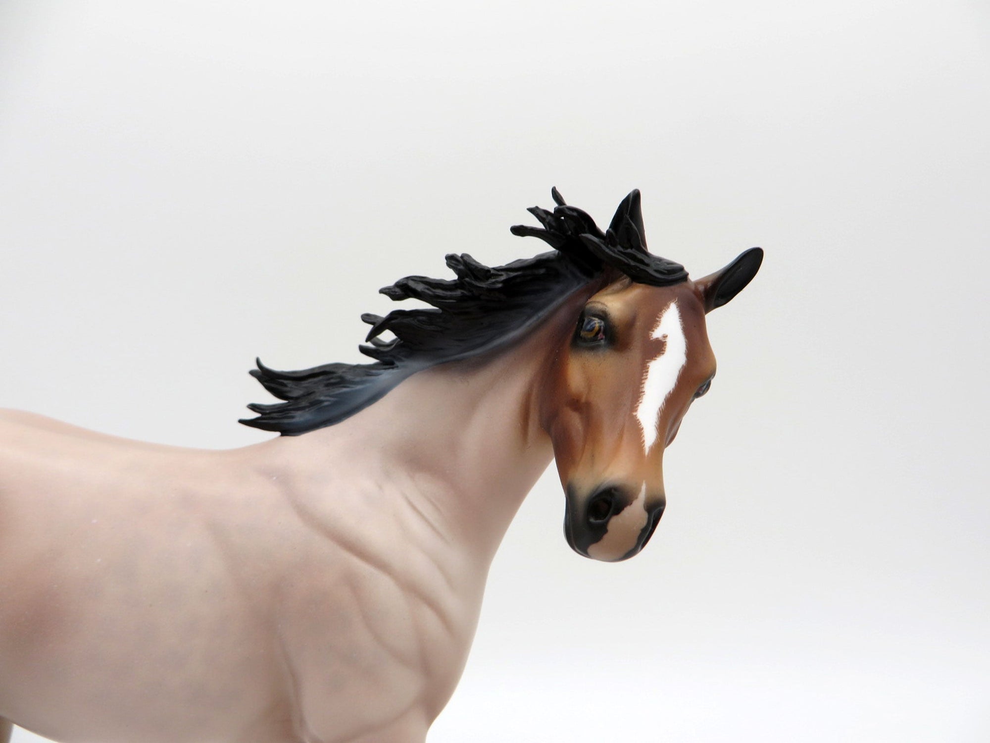 Tolstoy-OOAK Roan Weanling  Painted By Audrey Dixon EQ 21