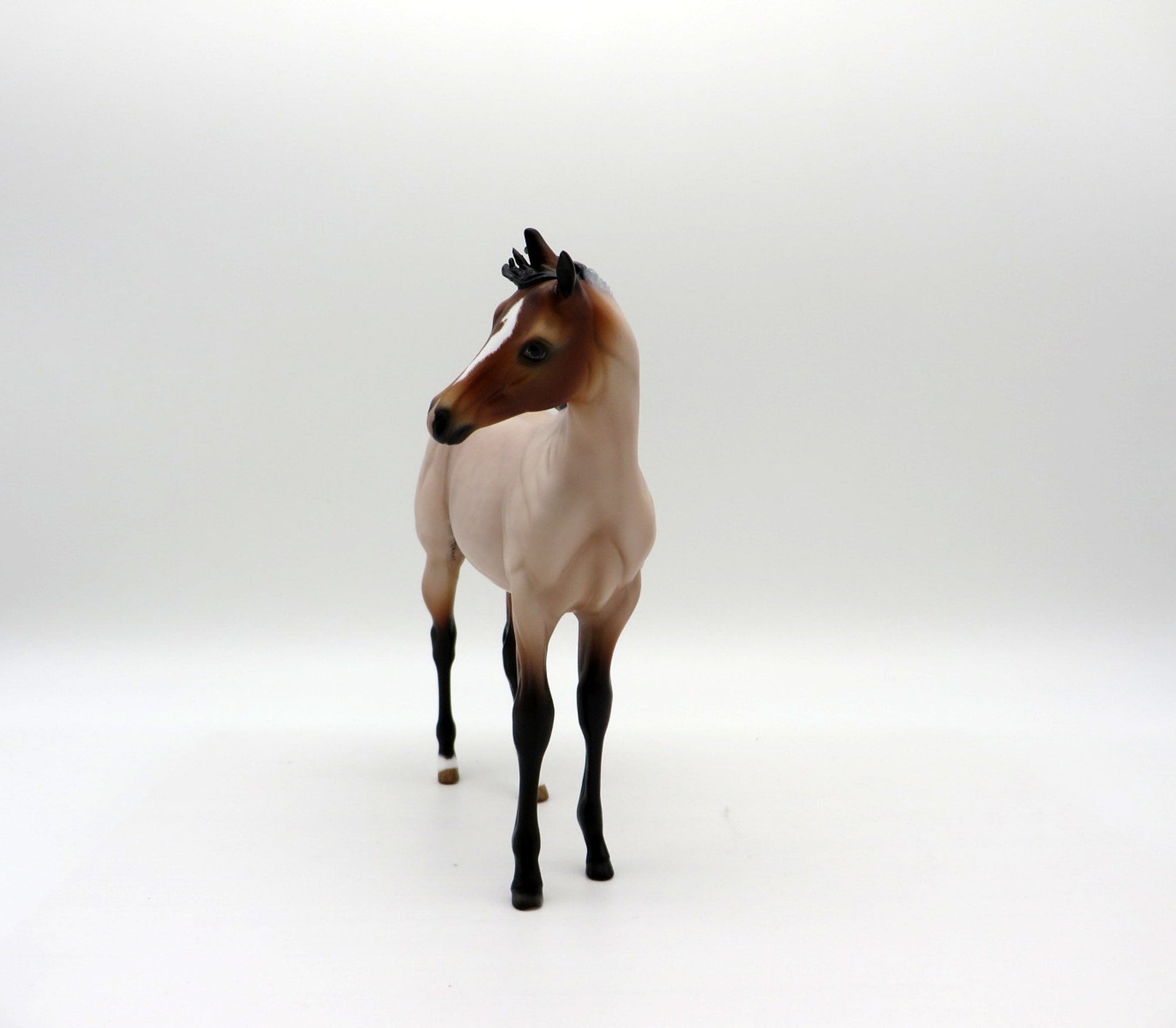 Tolstoy-OOAK Roan Weanling  Painted By Audrey Dixon EQ 21