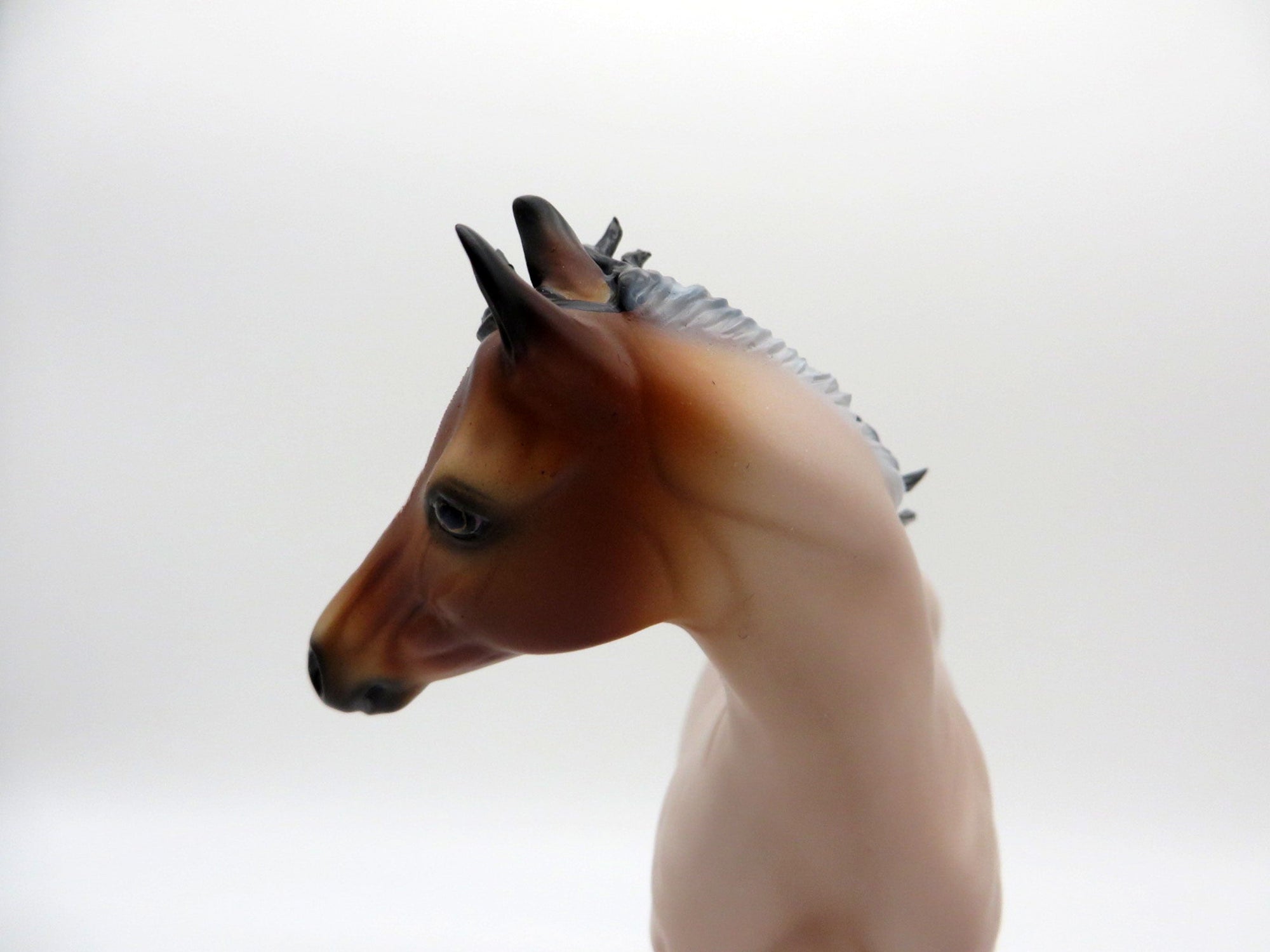 Tolstoy-OOAK Roan Weanling  Painted By Audrey Dixon EQ 21