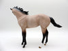 Tolstoy-OOAK Roan Weanling  Painted By Audrey Dixon EQ 21