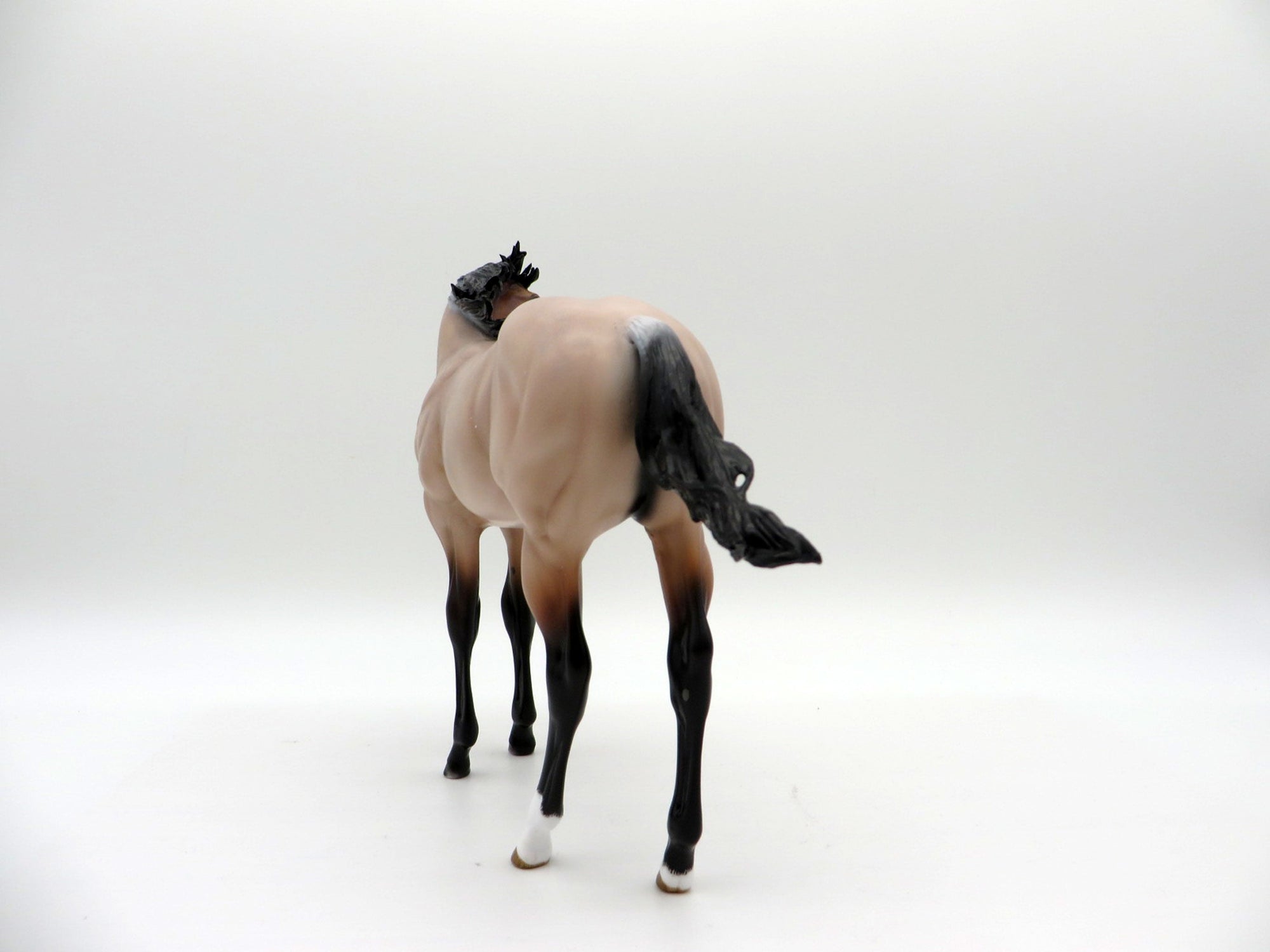 Tolstoy-OOAK Roan Weanling  Painted By Audrey Dixon EQ 21