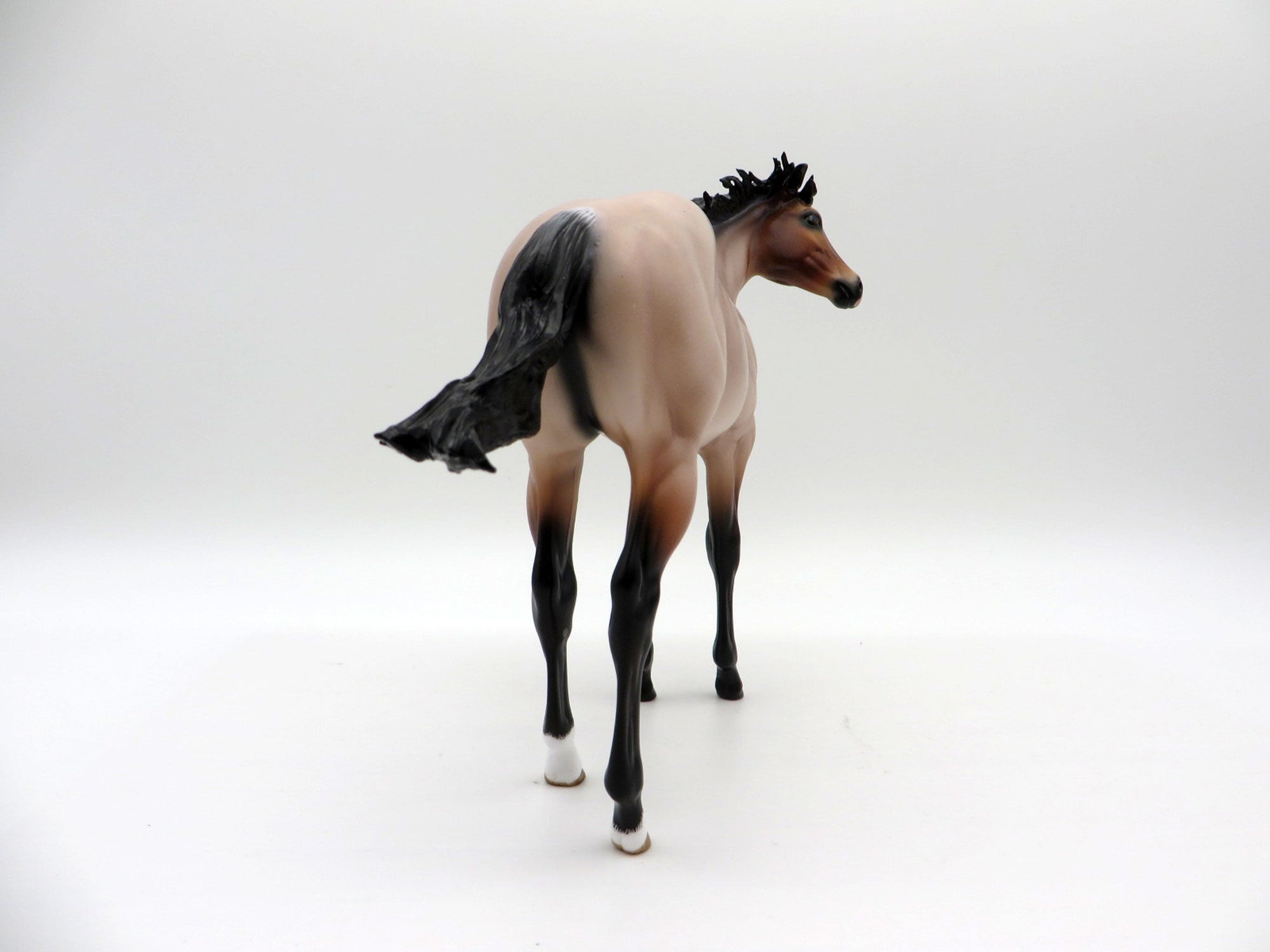 Tolstoy-OOAK Roan Weanling  Painted By Audrey Dixon EQ 21