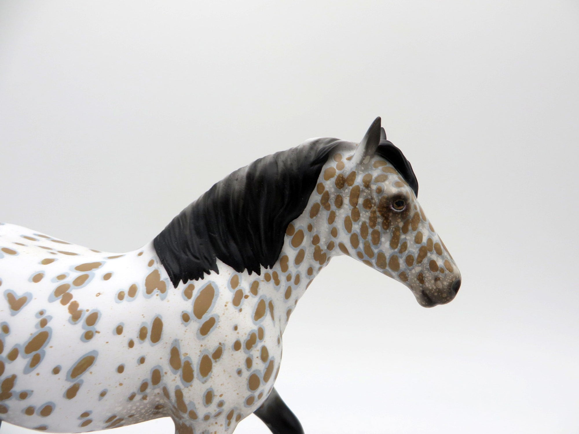 Tornado-OOAK Loud Appaloosa Trotting Drafter  SHCF 2021