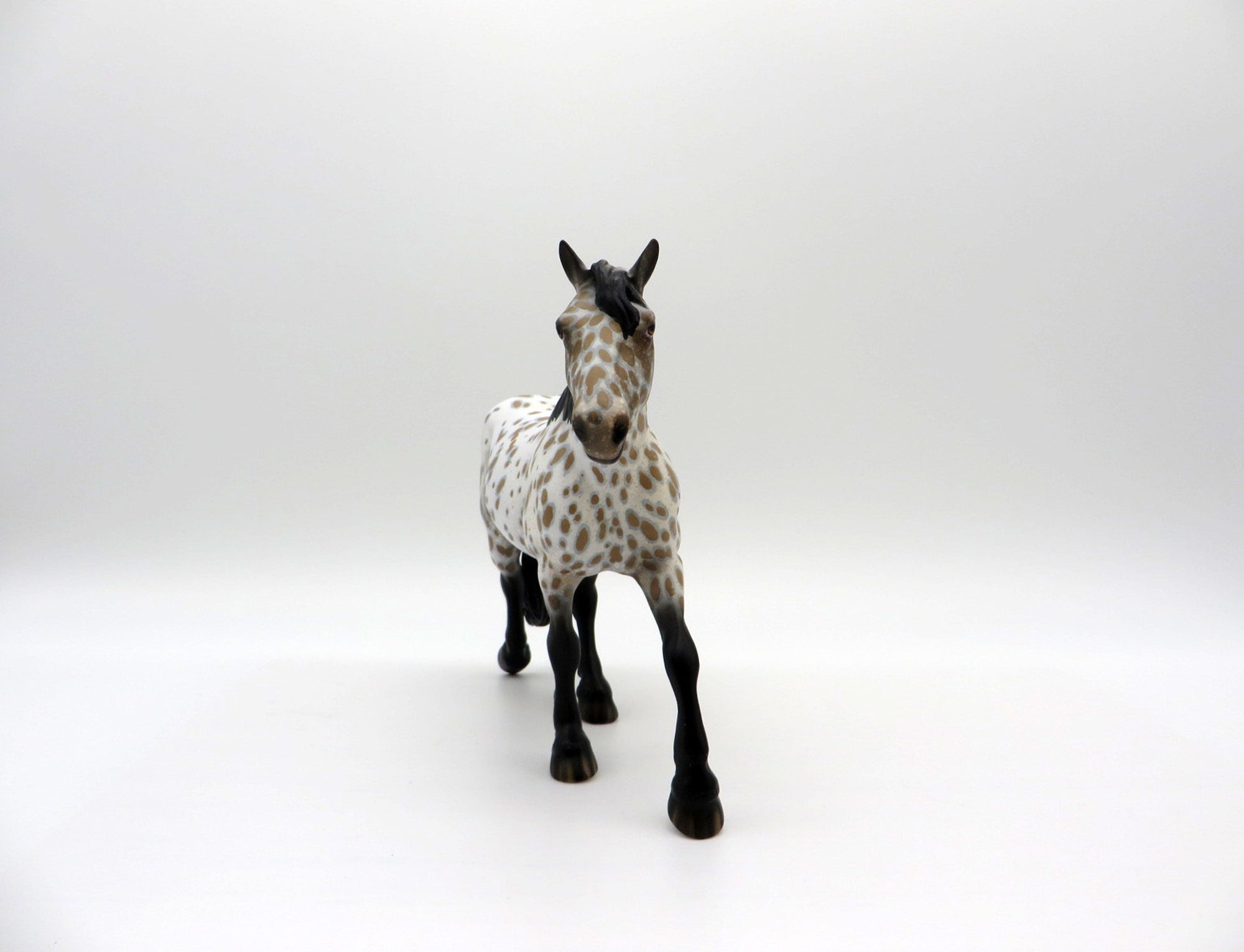 Tornado-OOAK Loud Appaloosa Trotting Drafter  SHCF 2021