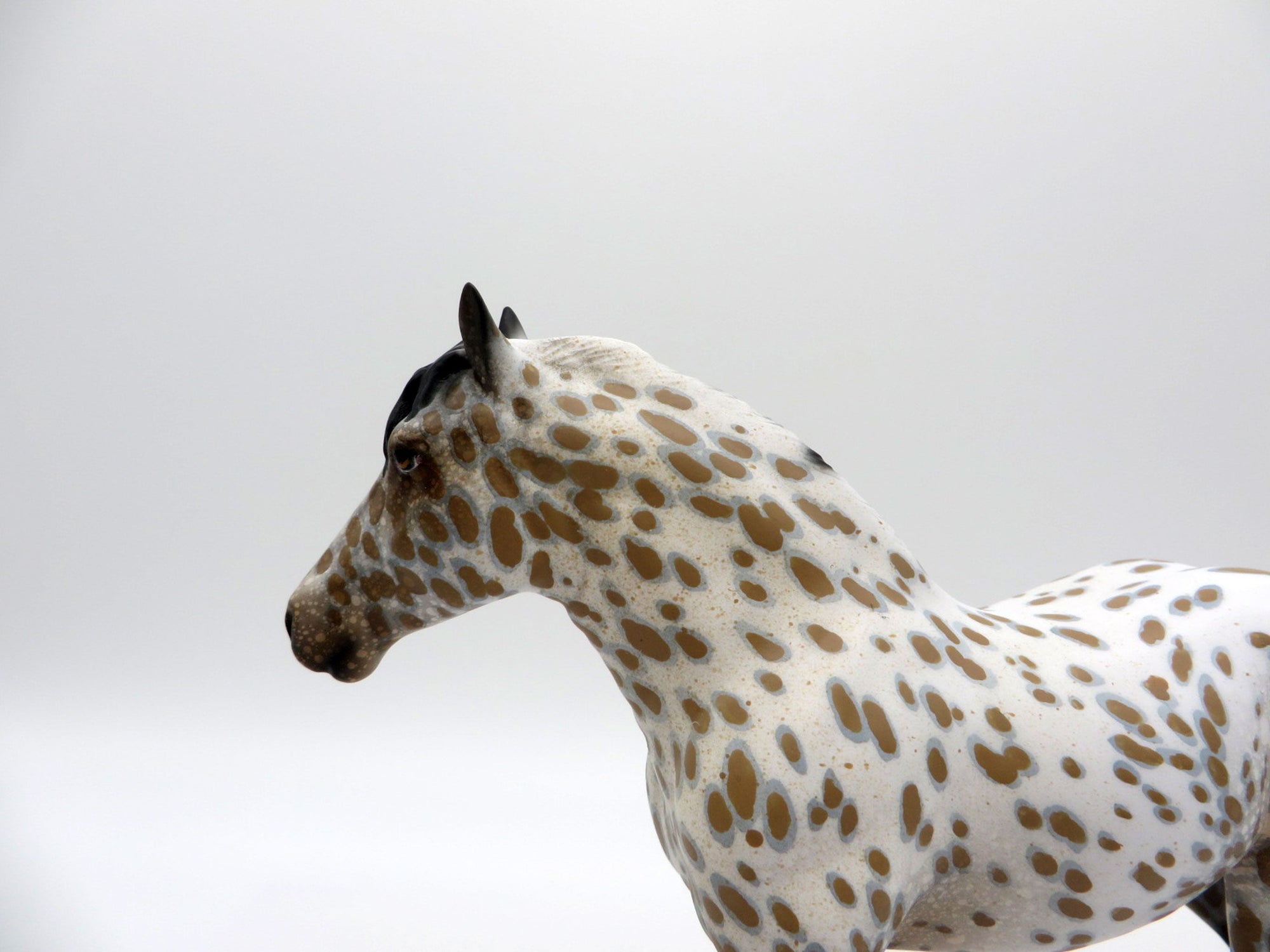 Tornado-OOAK Loud Appaloosa Trotting Drafter  SHCF 2021