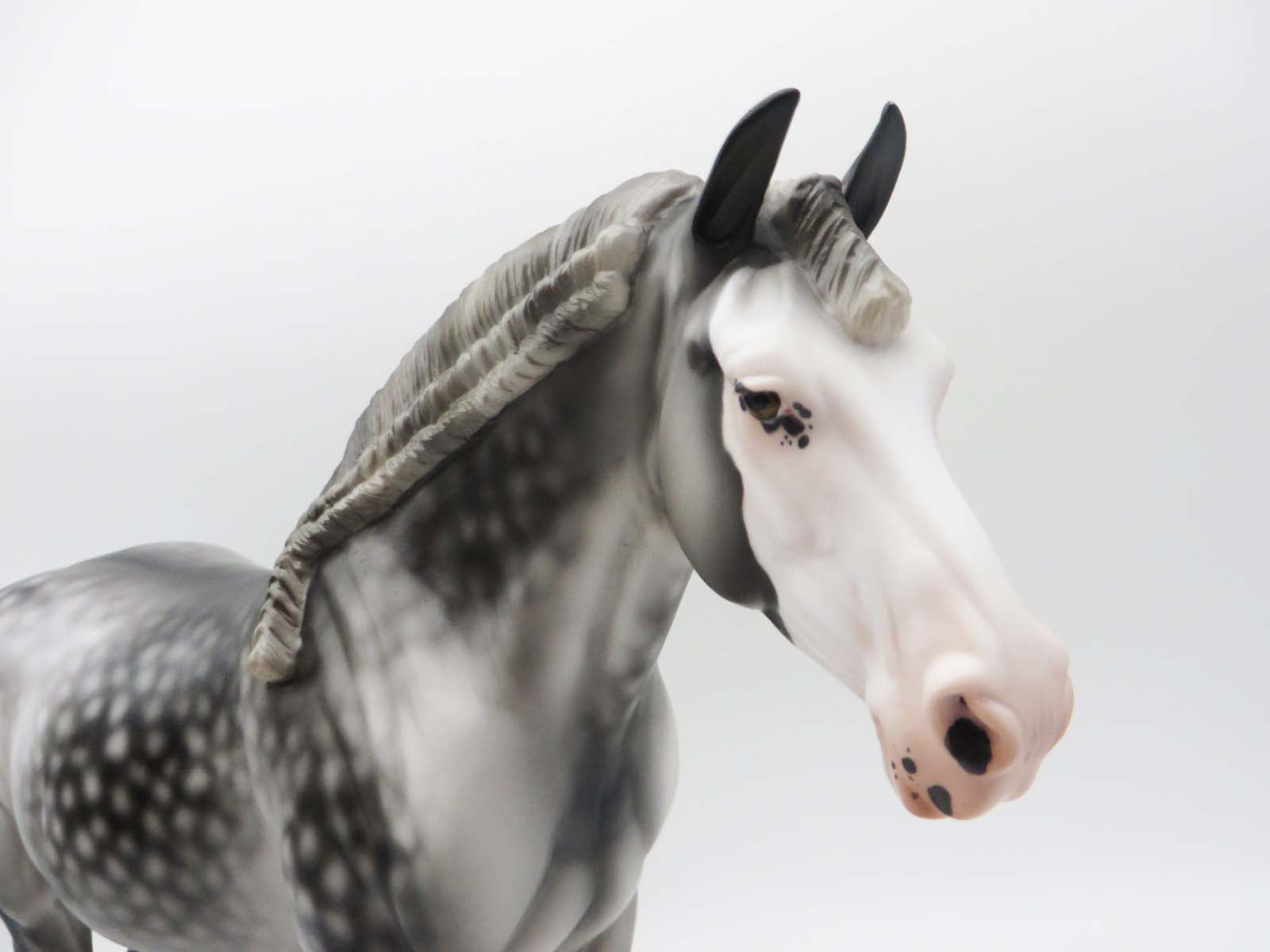 Torrent - OOAK - Dappled Grey Custom Heavy Draft By Jess Hamill - SHCF23