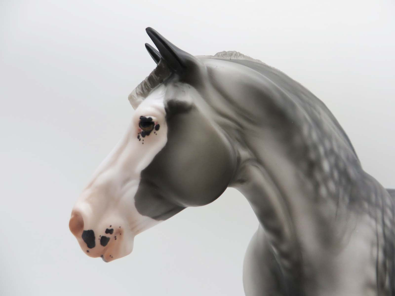 Torrent - OOAK - Dappled Grey Custom Heavy Draft By Jess Hamill - SHCF23