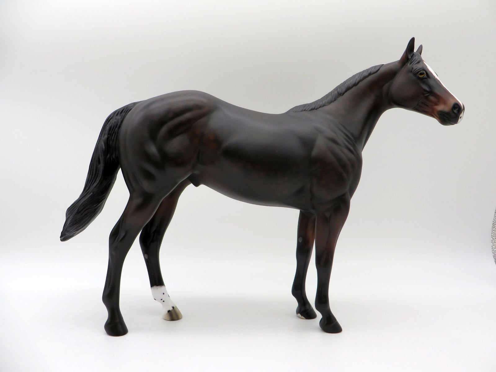 Tortilla-OOAK Dapple Bay ISH Painted By Ellen Robbins  5/28/21