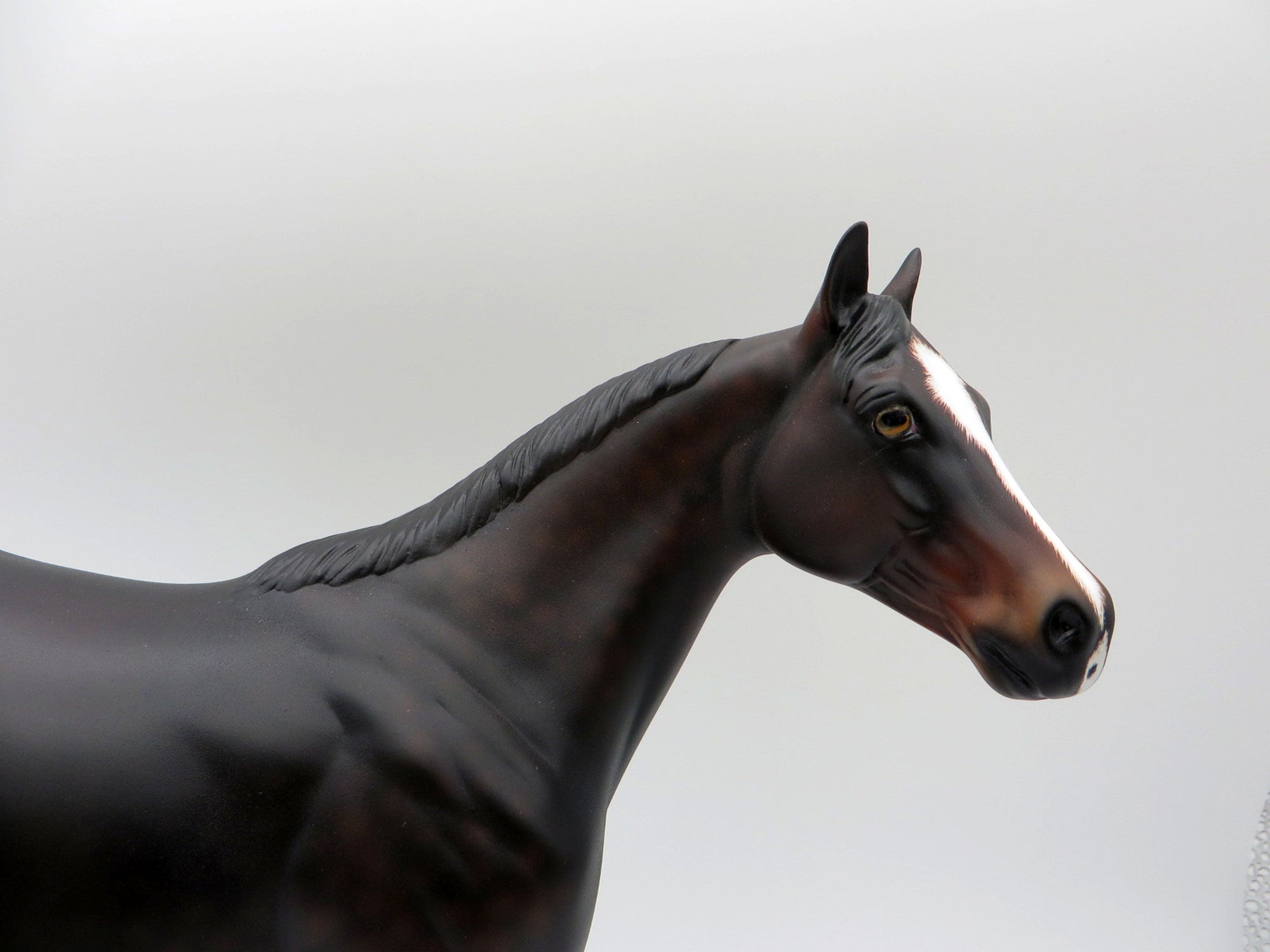 Tortilla-OOAK Dapple Bay ISH Painted By Ellen Robbins  5/28/21